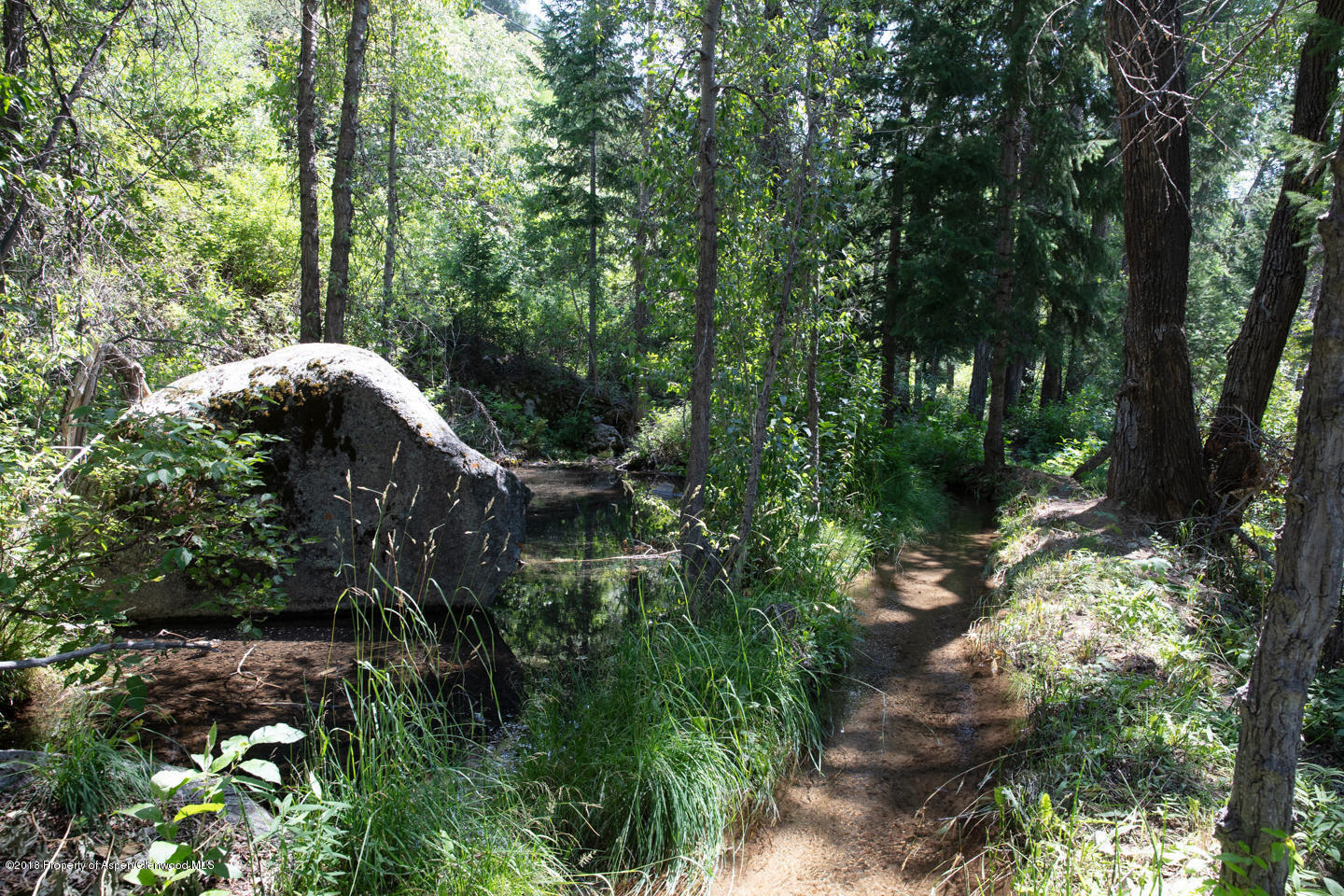918 Castle Creek Road Aspen CO 81611