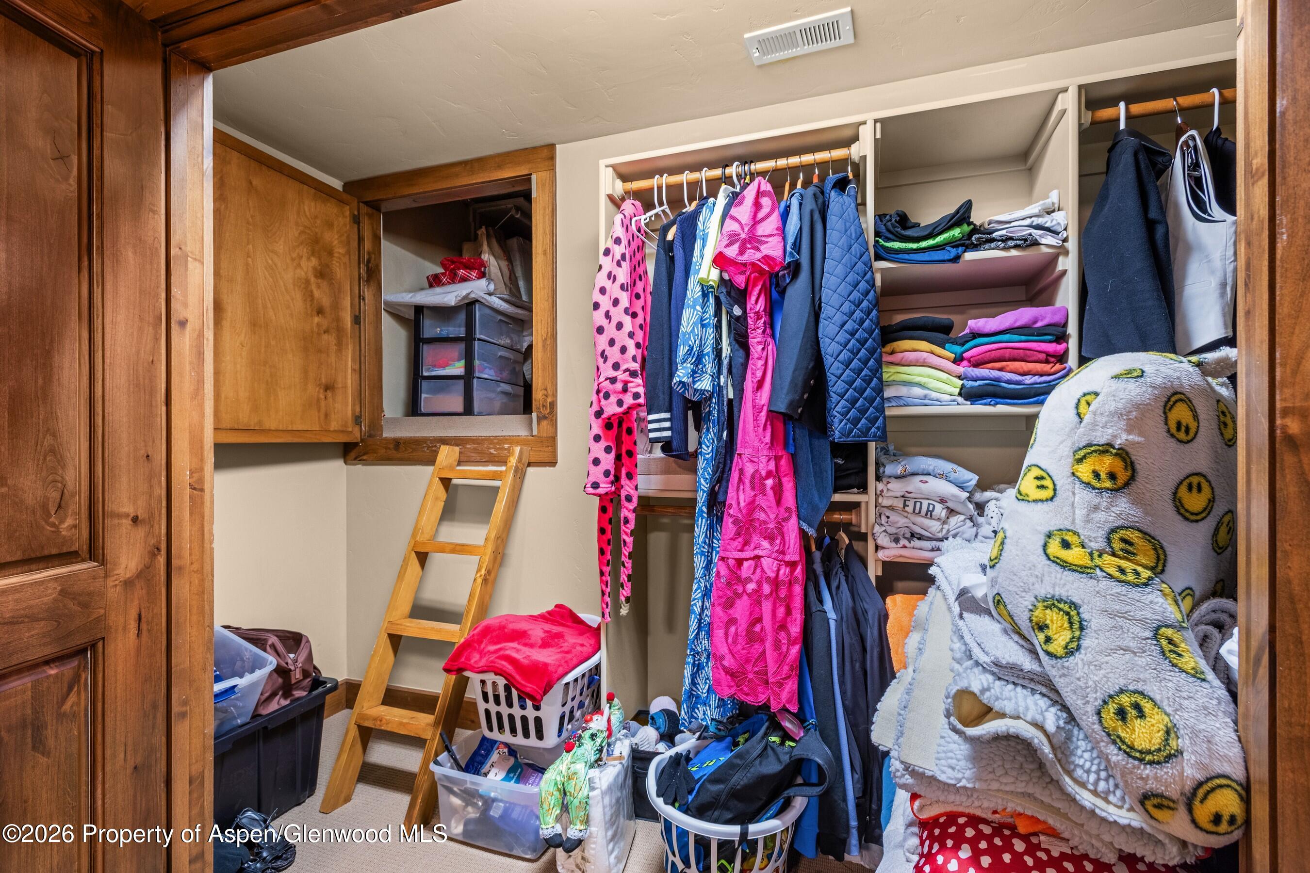 104 Sopris Mesa Drive Carbondale CO 81623