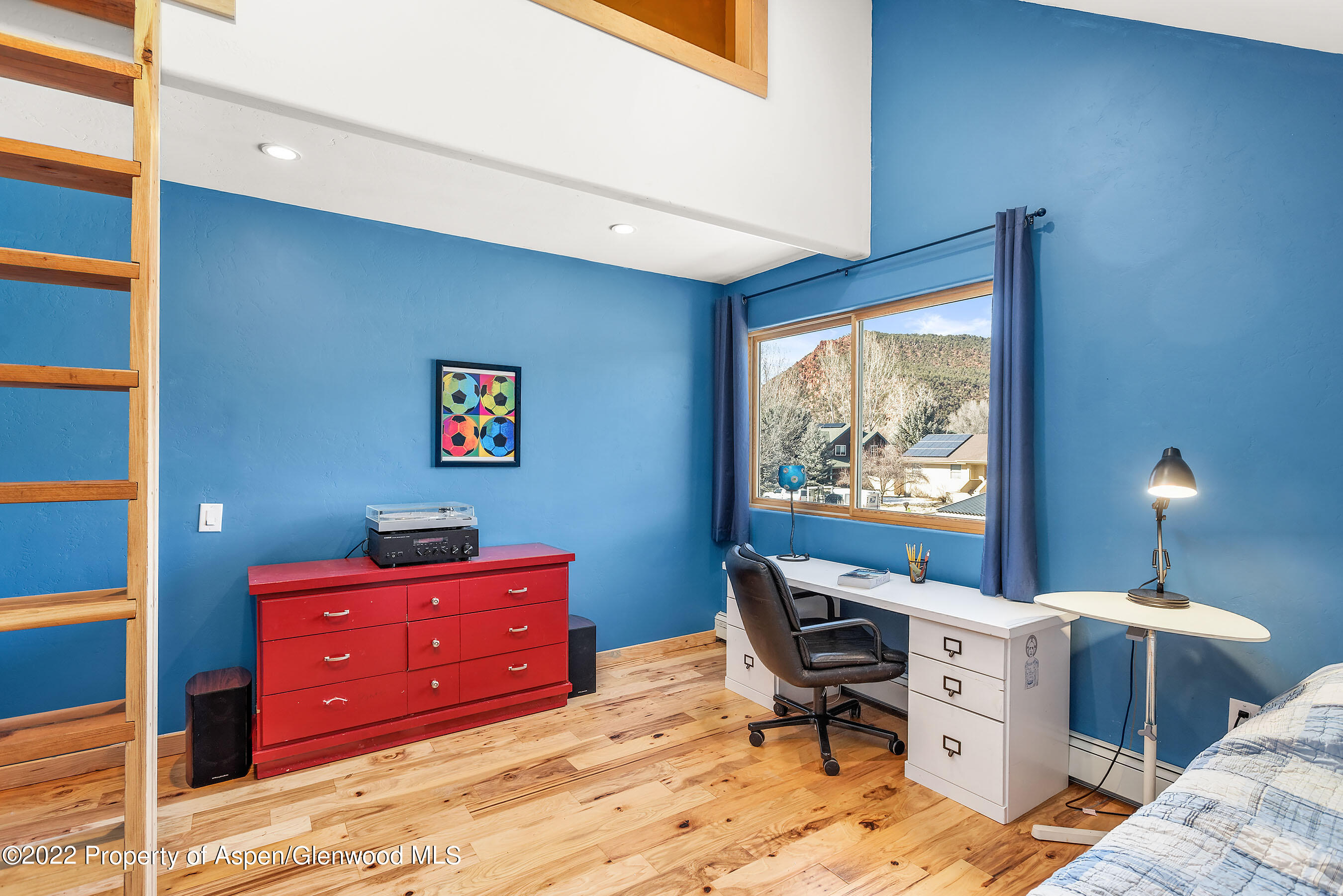 651 Cowen Drive Carbondale CO 81623