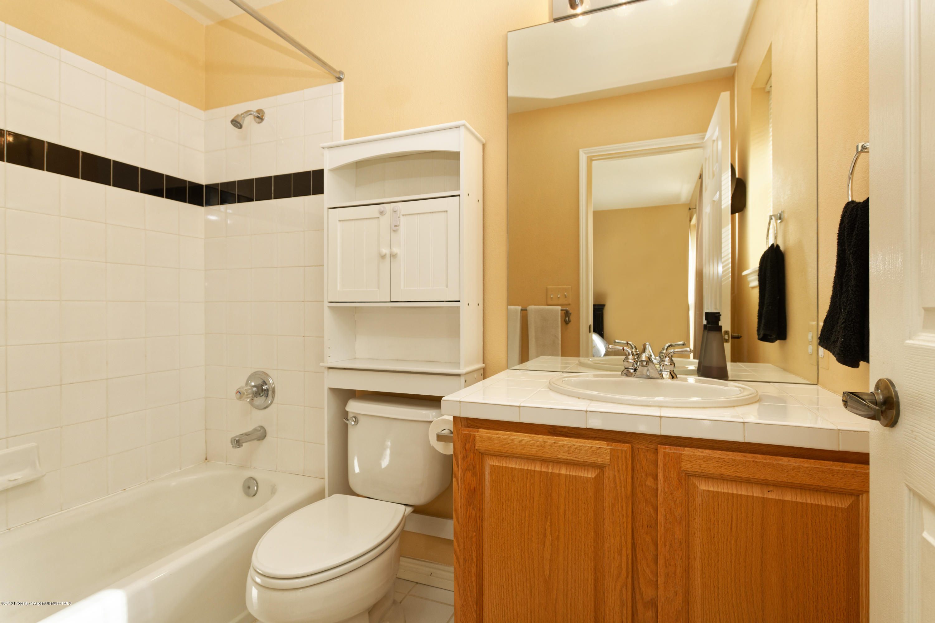 74 Ferguson Drive Carbondale CO 81623