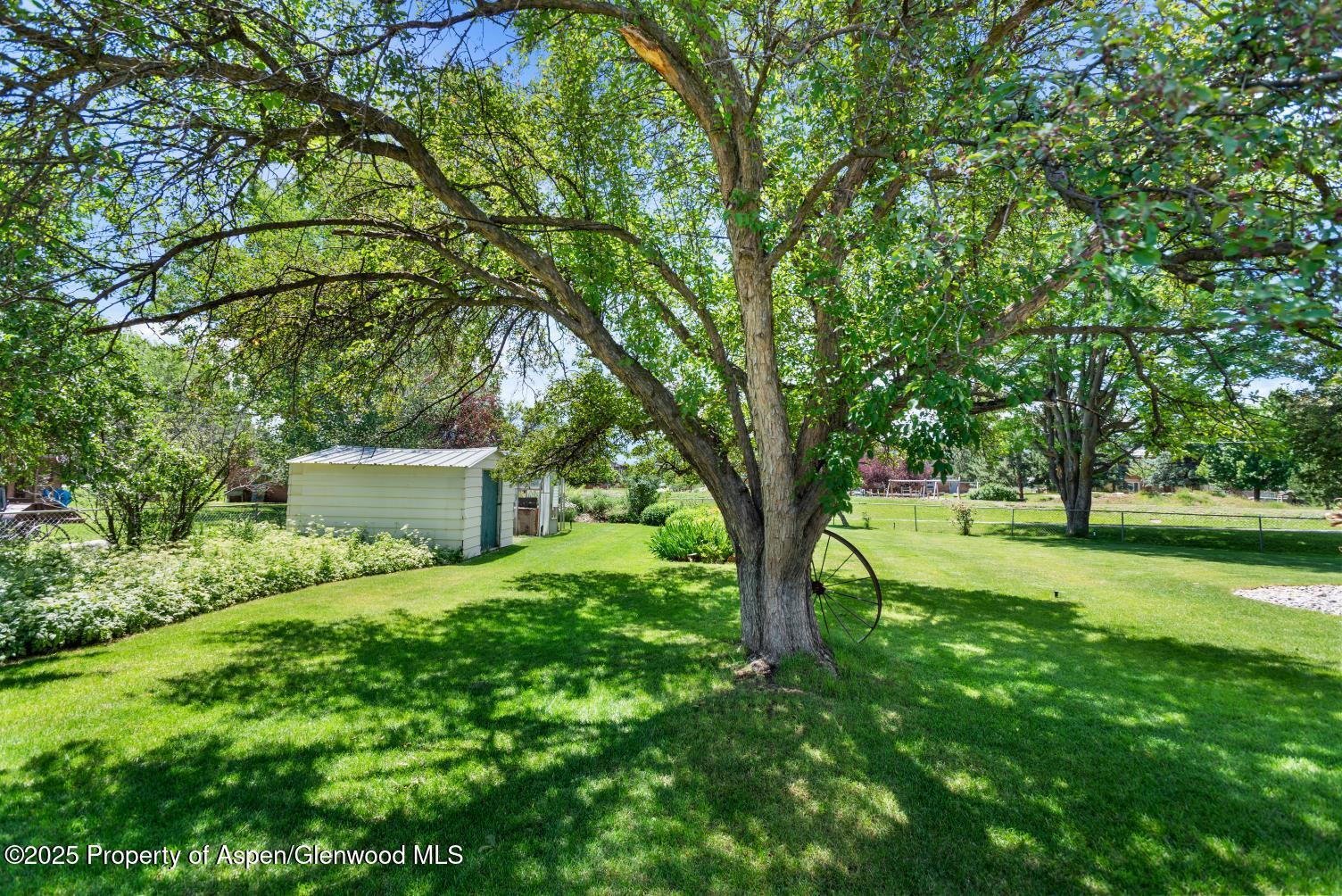 584 Grace Drive Carbondale CO 81623