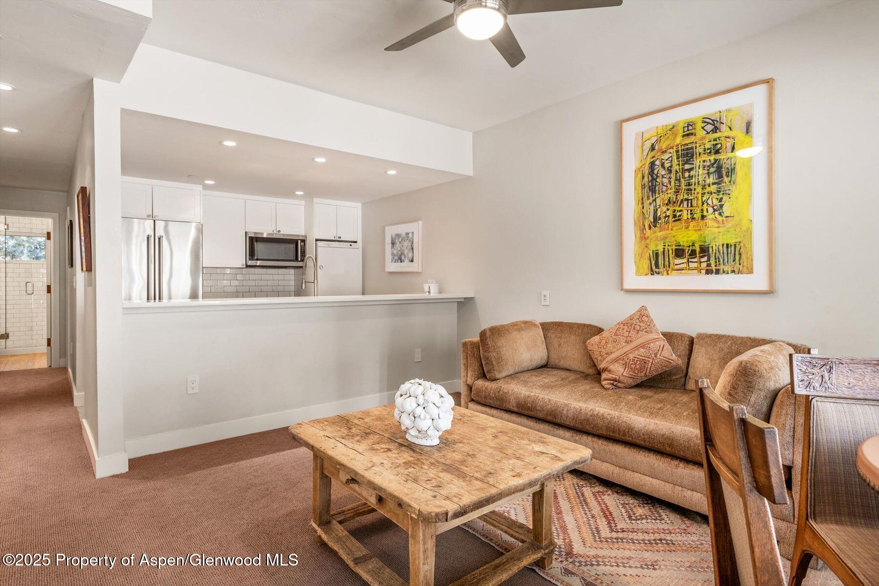 645 Willoughby Way Aspen CO 81611