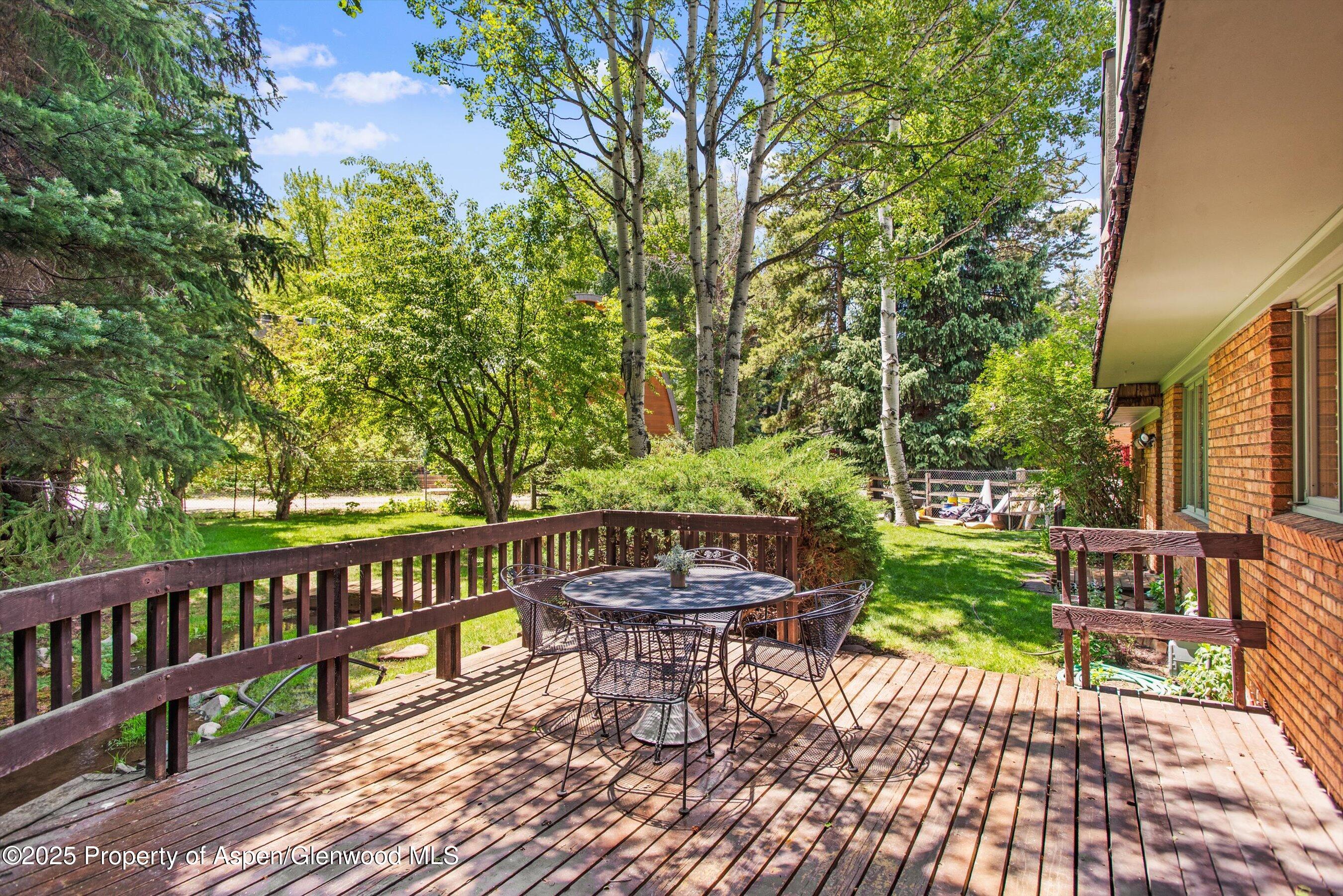 531 Gillespie Street Aspen CO 81611