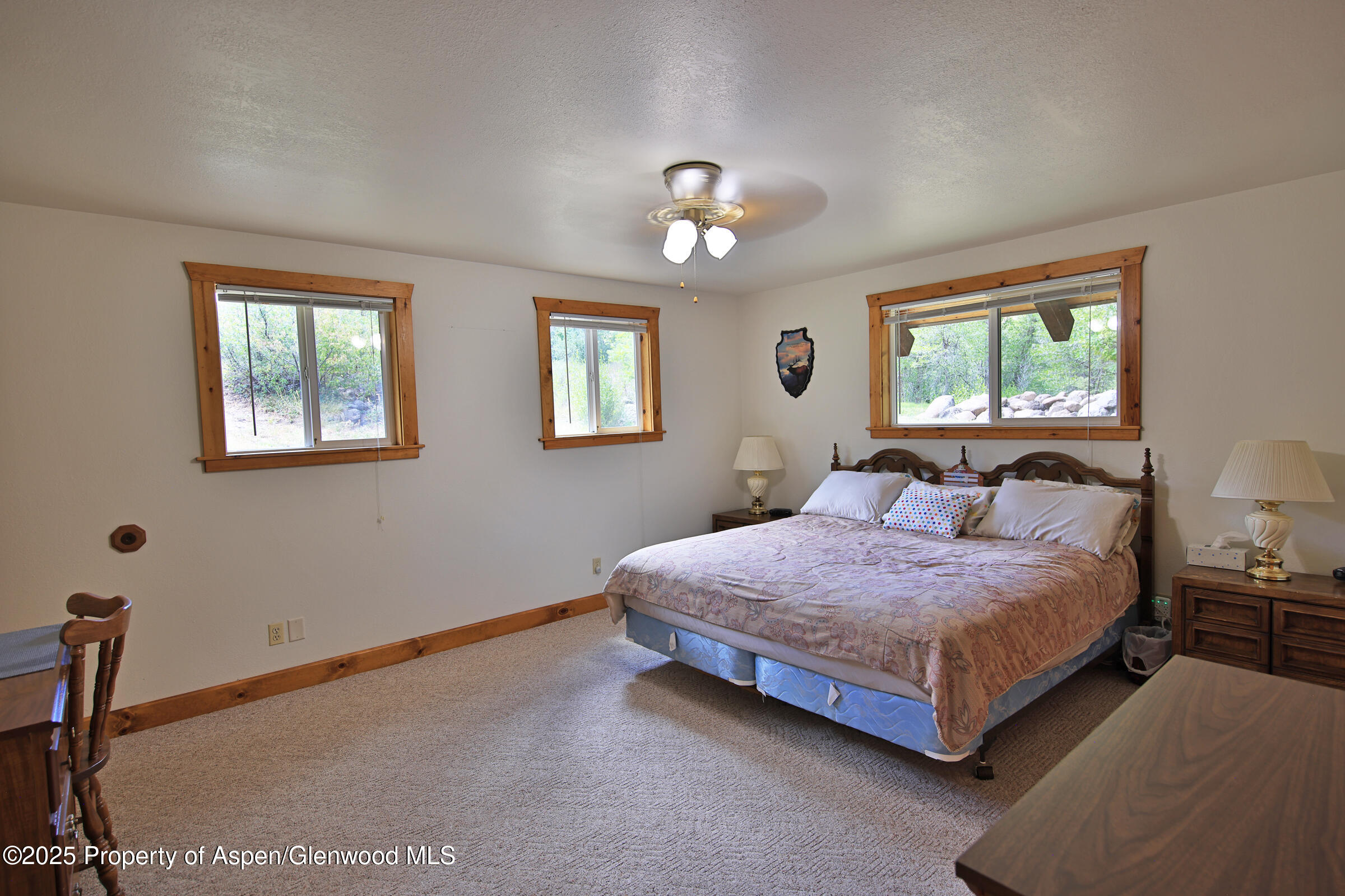 9681 56 2/10 Road Molina CO 81646