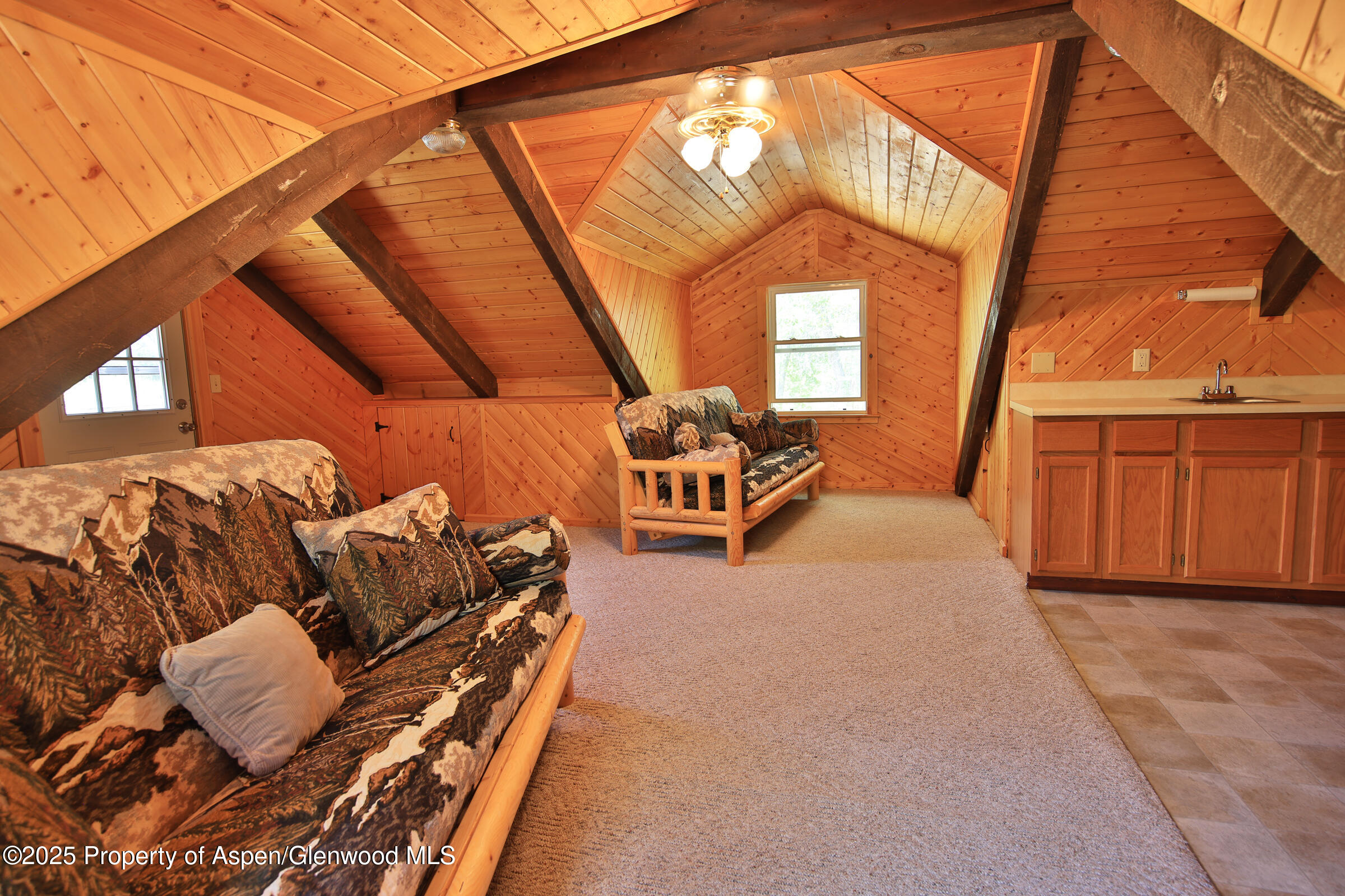 9681 56 2/10 Road Molina CO 81646