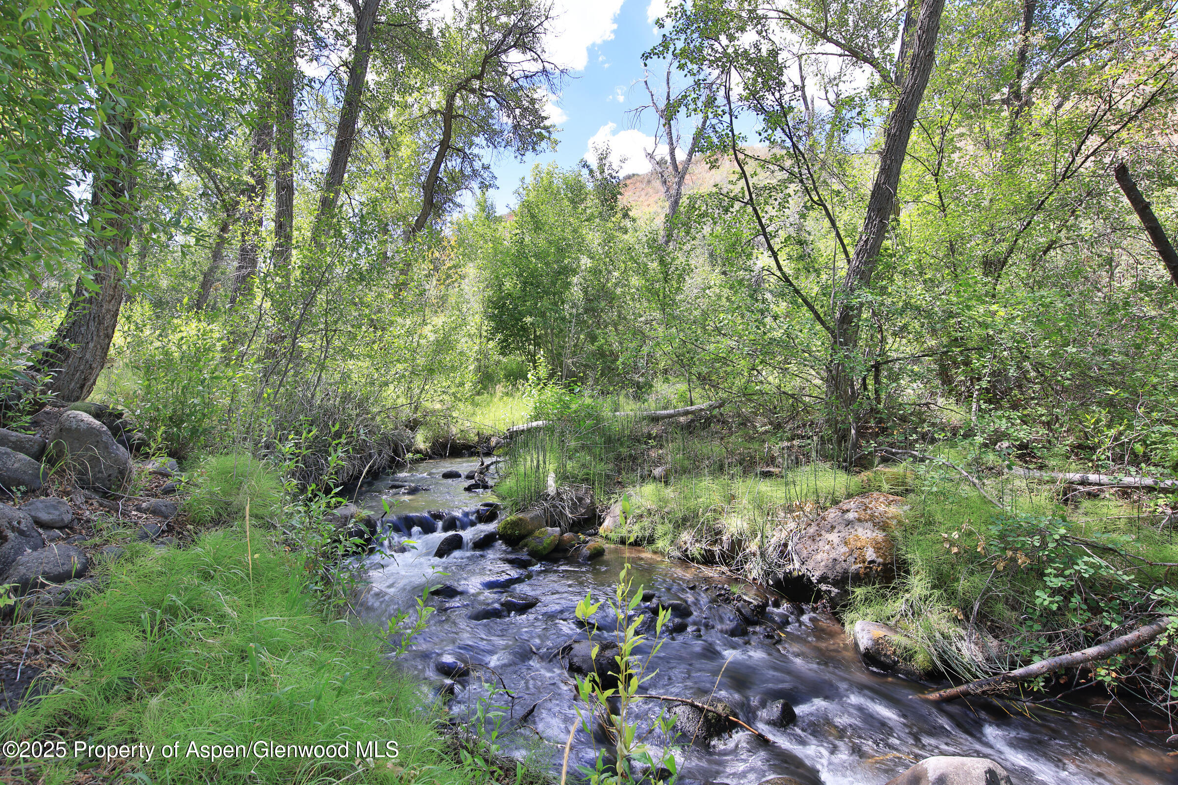 9681 56 2/10 Road Molina CO 81646