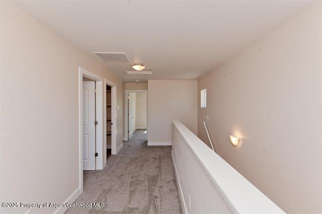 234 Lena Lane De Beque CO 81630