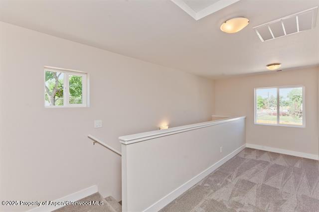 234 Lena Lane De Beque CO 81630