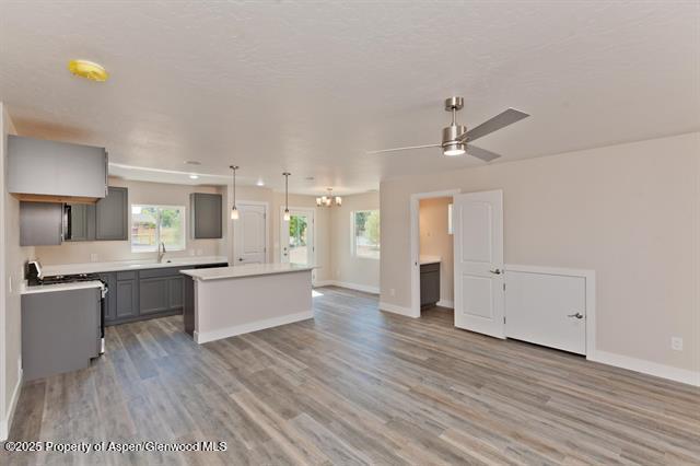 234 Lena Lane De Beque CO 81630