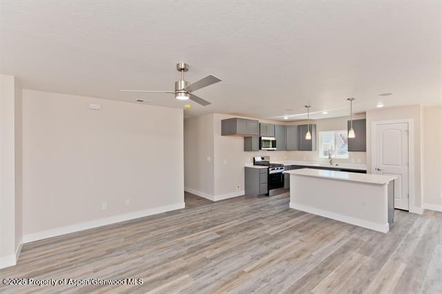 234 Lena Lane De Beque CO 81630