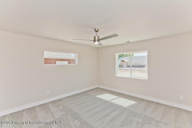 234 Lena Lane De Beque CO 81630