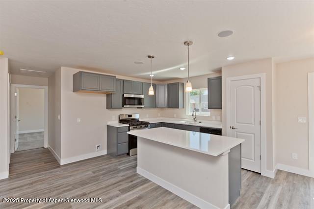 234 Lena Lane De Beque CO 81630