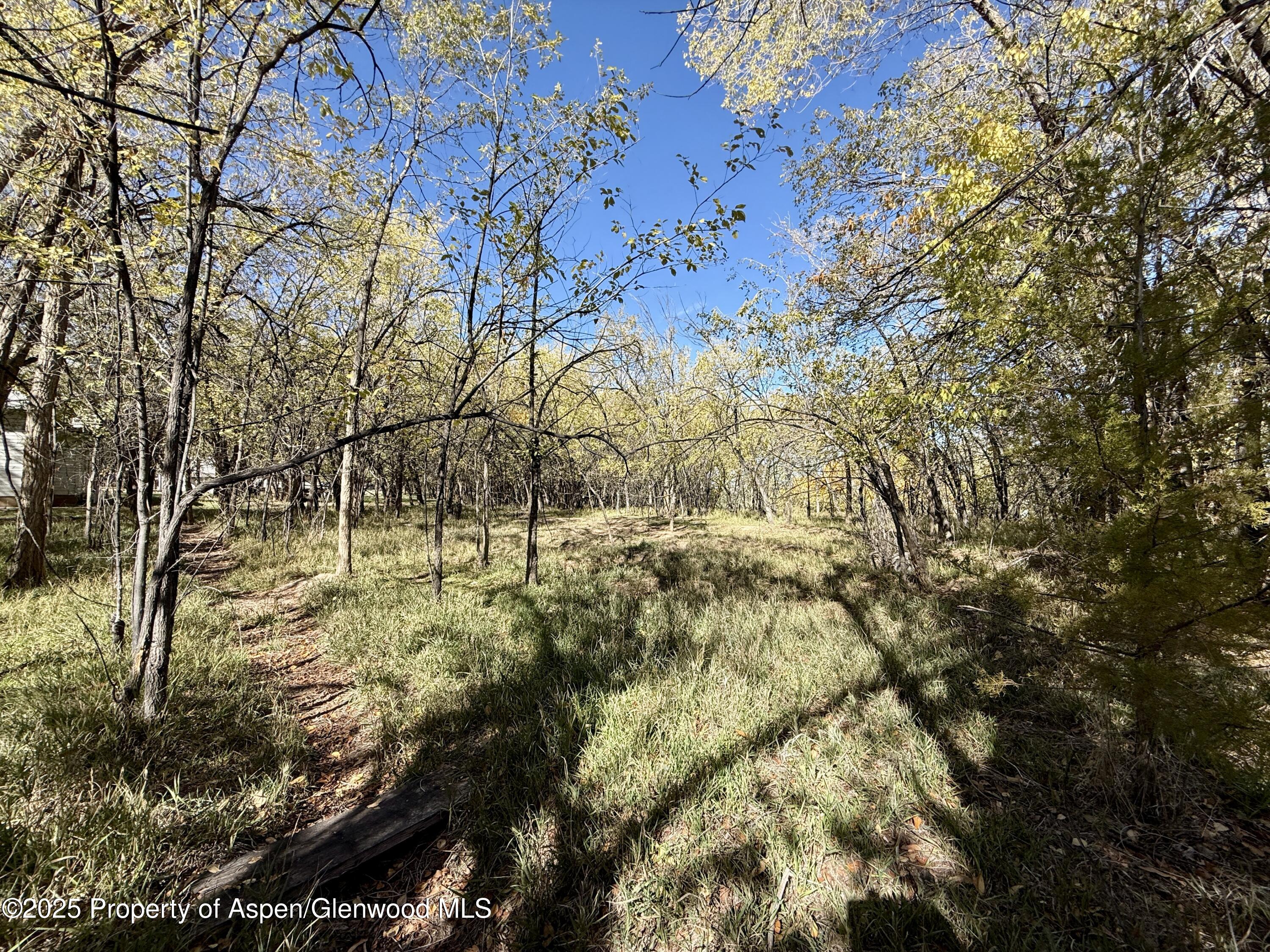 1102 Santa Clara Avenue Grand Junction CO 81503