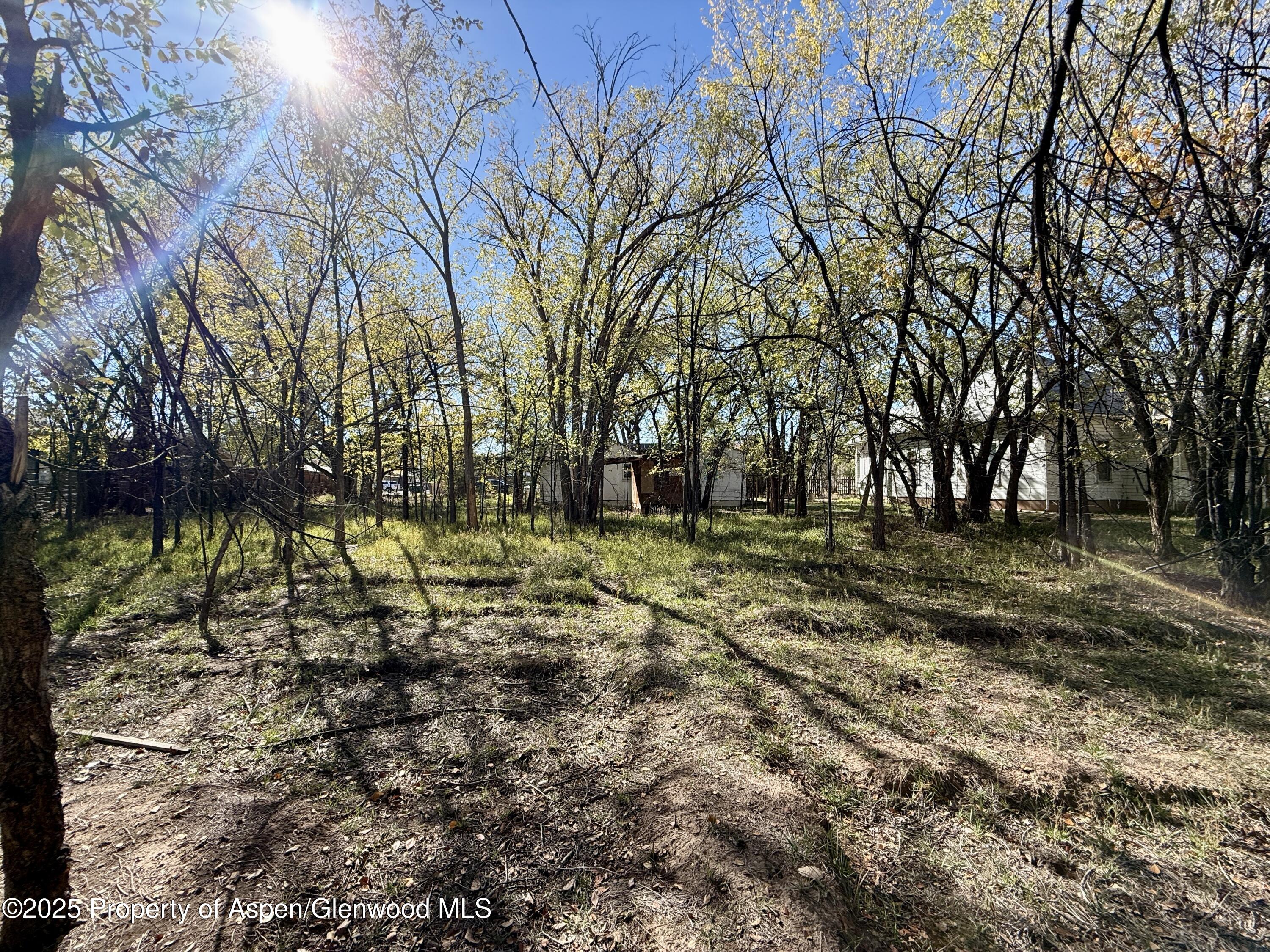 1102 Santa Clara Avenue Grand Junction CO 81503