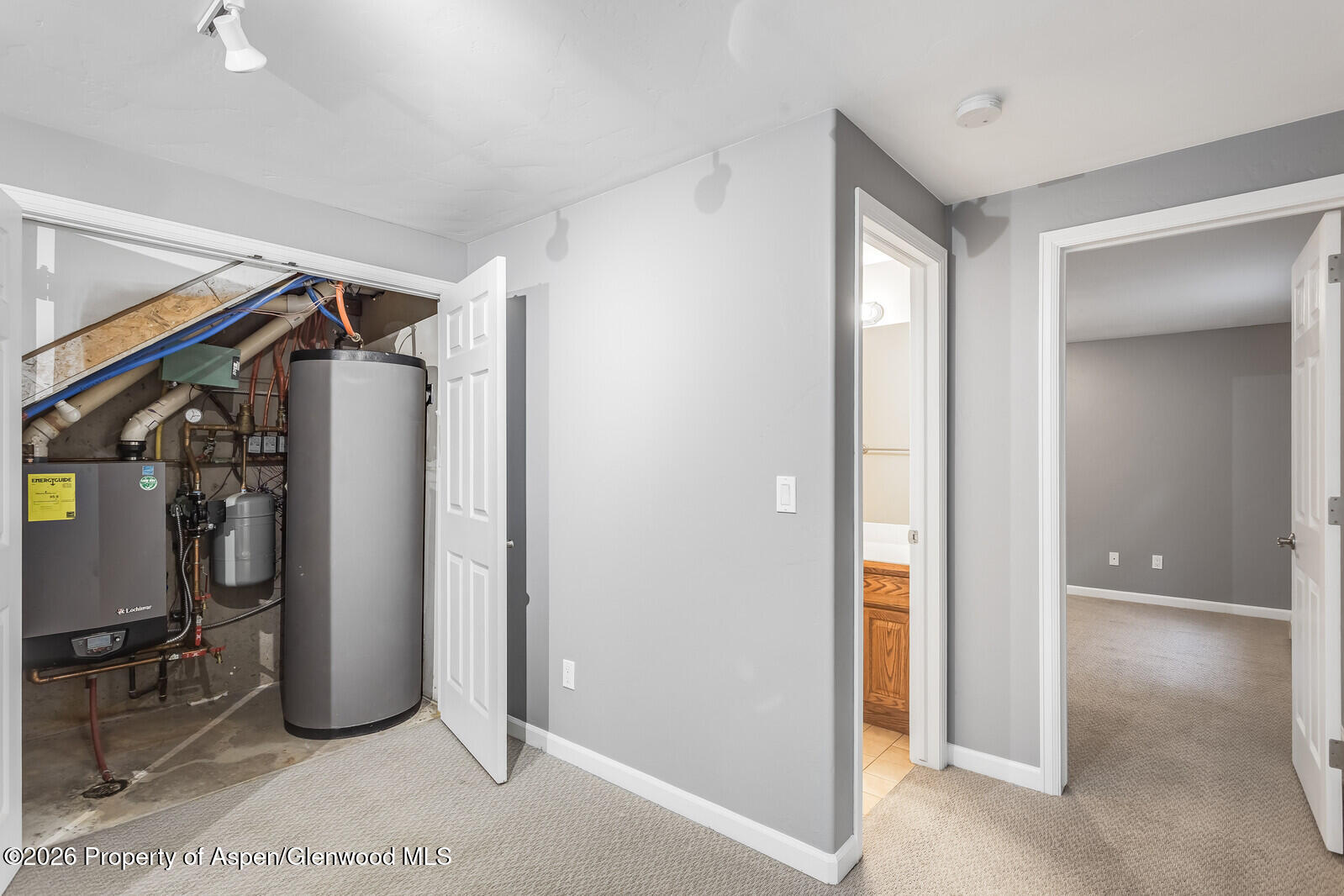 309 Cleveland Place Carbondale CO 81623