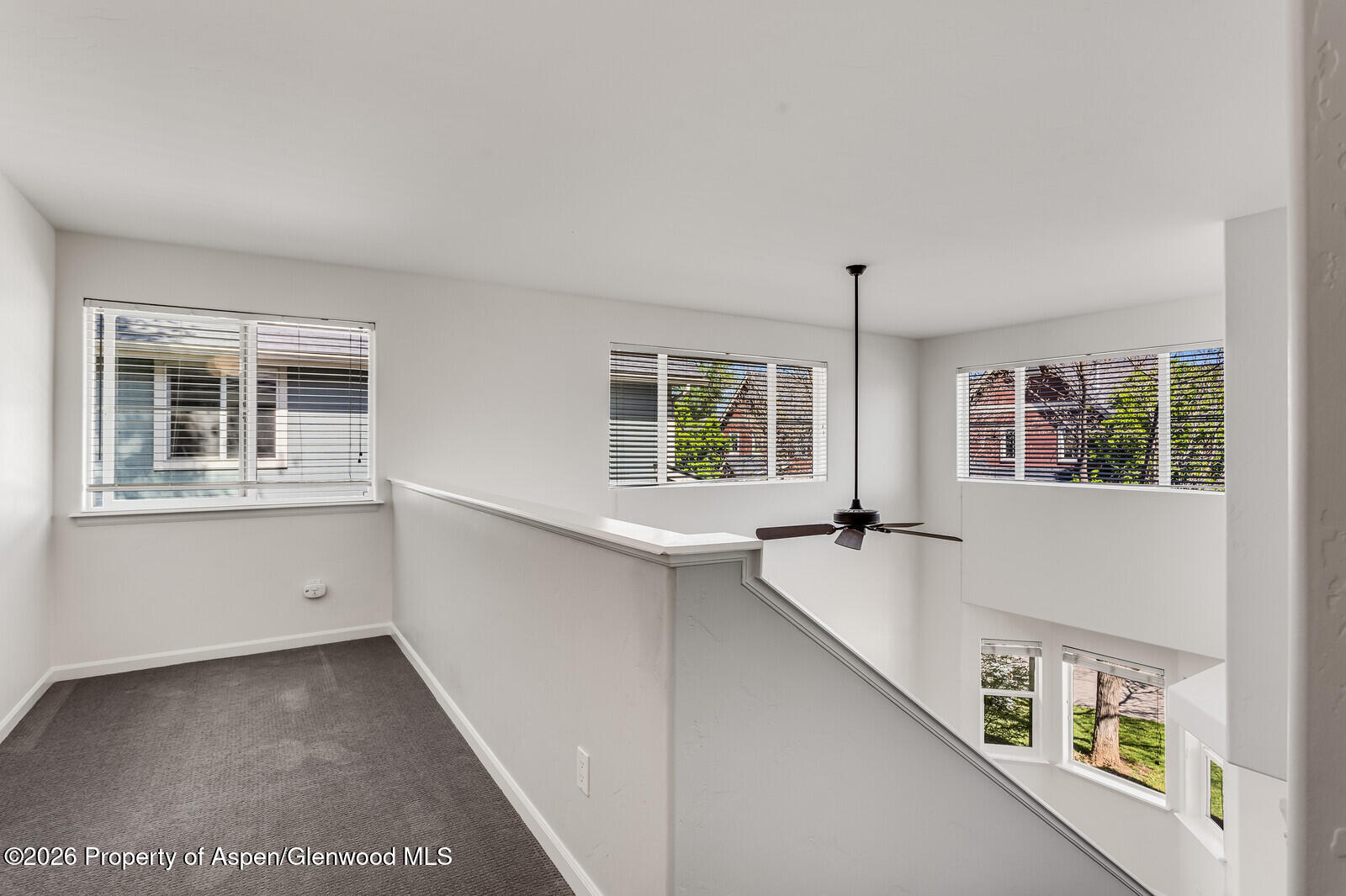 309 Cleveland Place Carbondale CO 81623