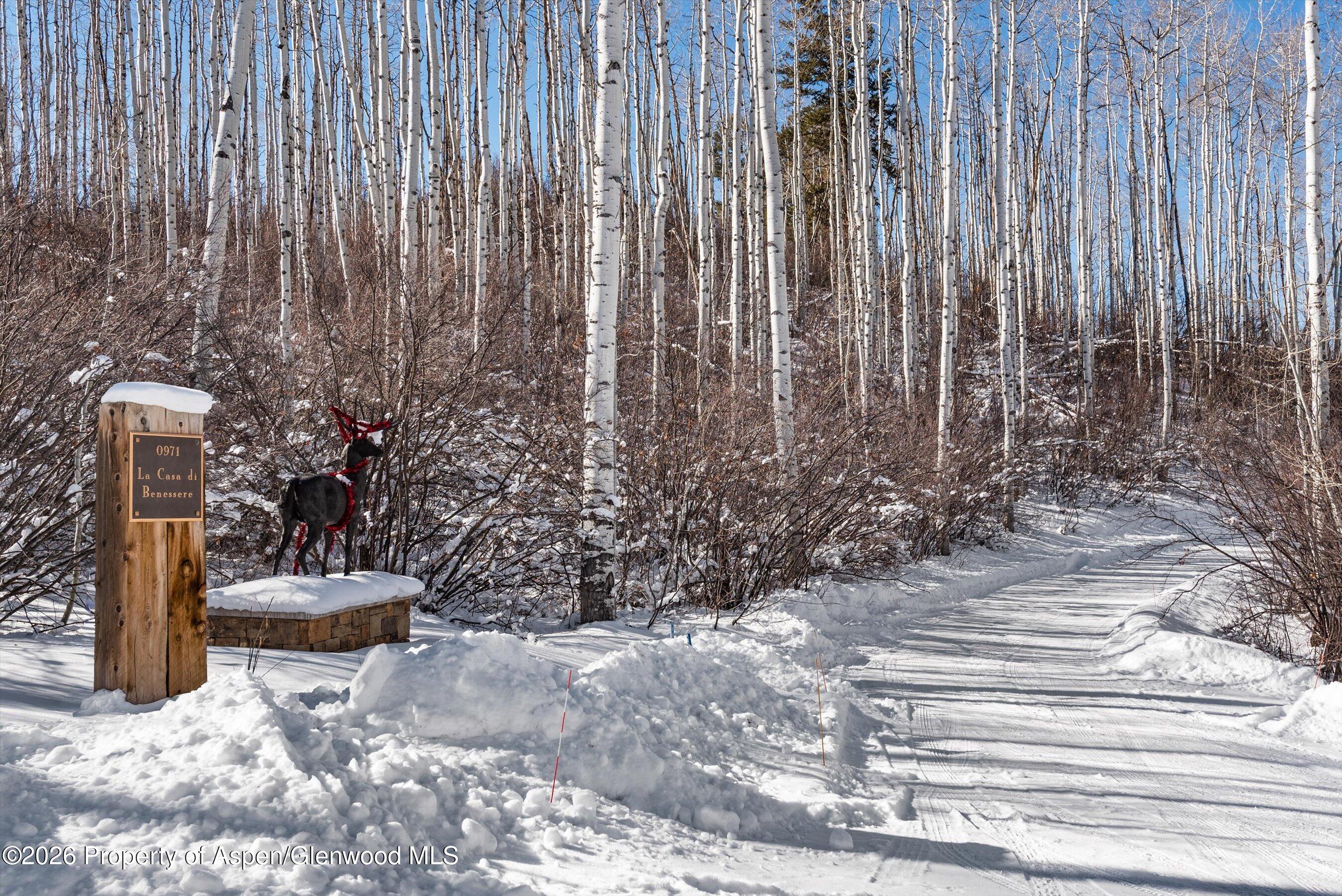 971 Cluny Road Aspen CO 81611