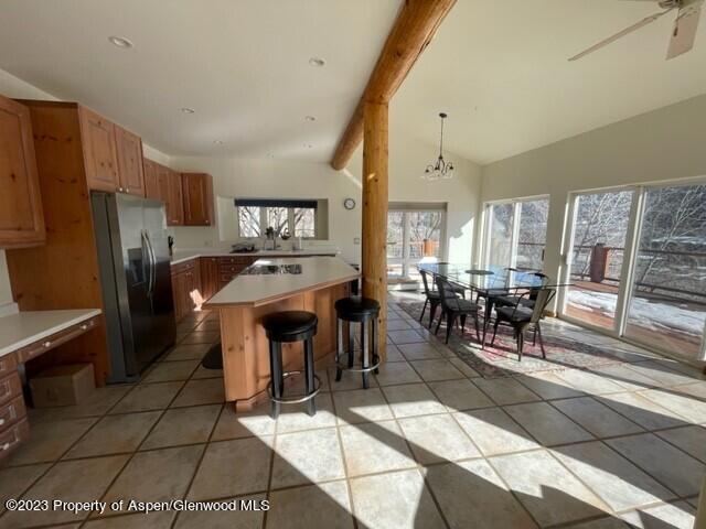 1854 County Road 109 Glenwood Springs CO 81601