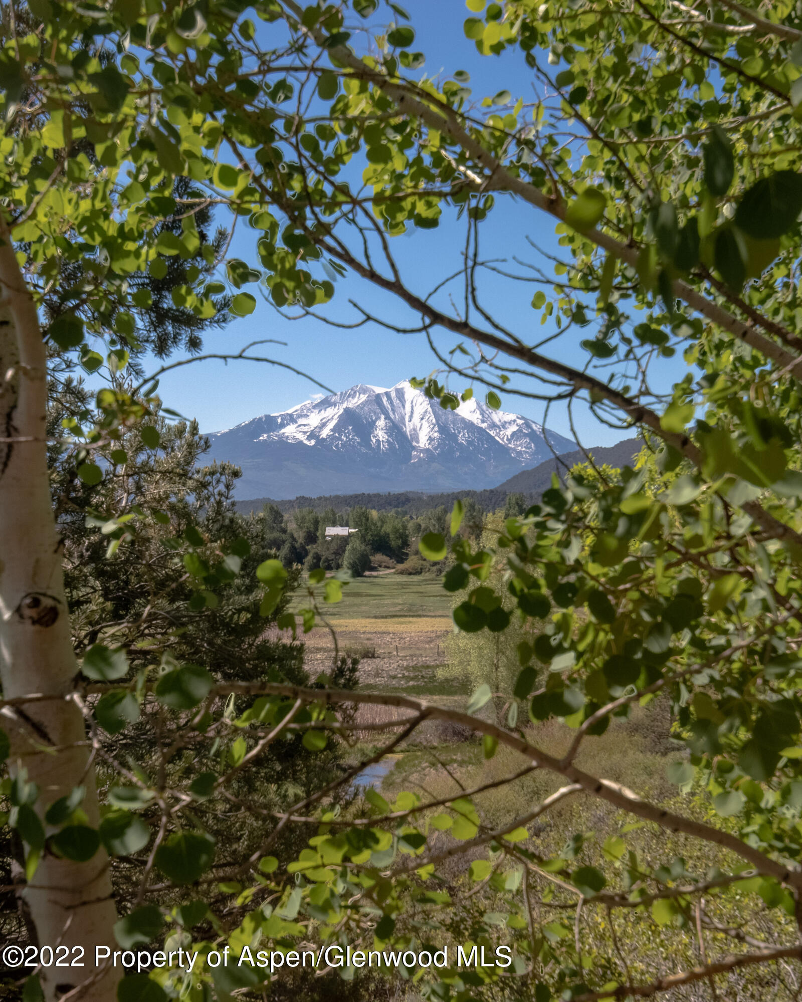 1854 County Road 109 Glenwood Springs CO 81601