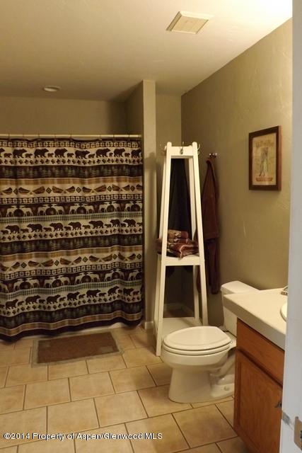 48 Beaver Court Glenwood Springs CO 81601