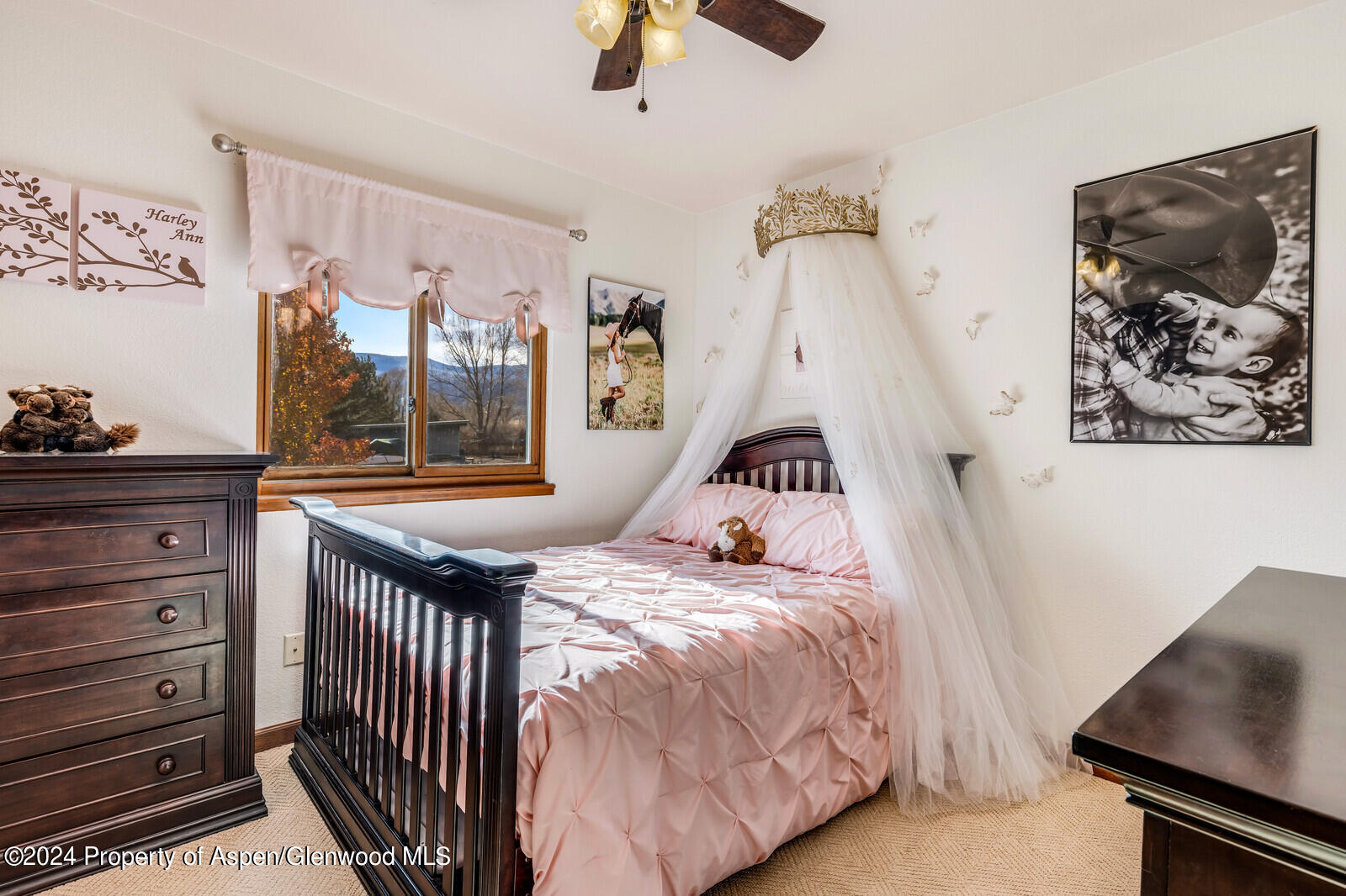 176 Rabbit Road Carbondale CO 81623