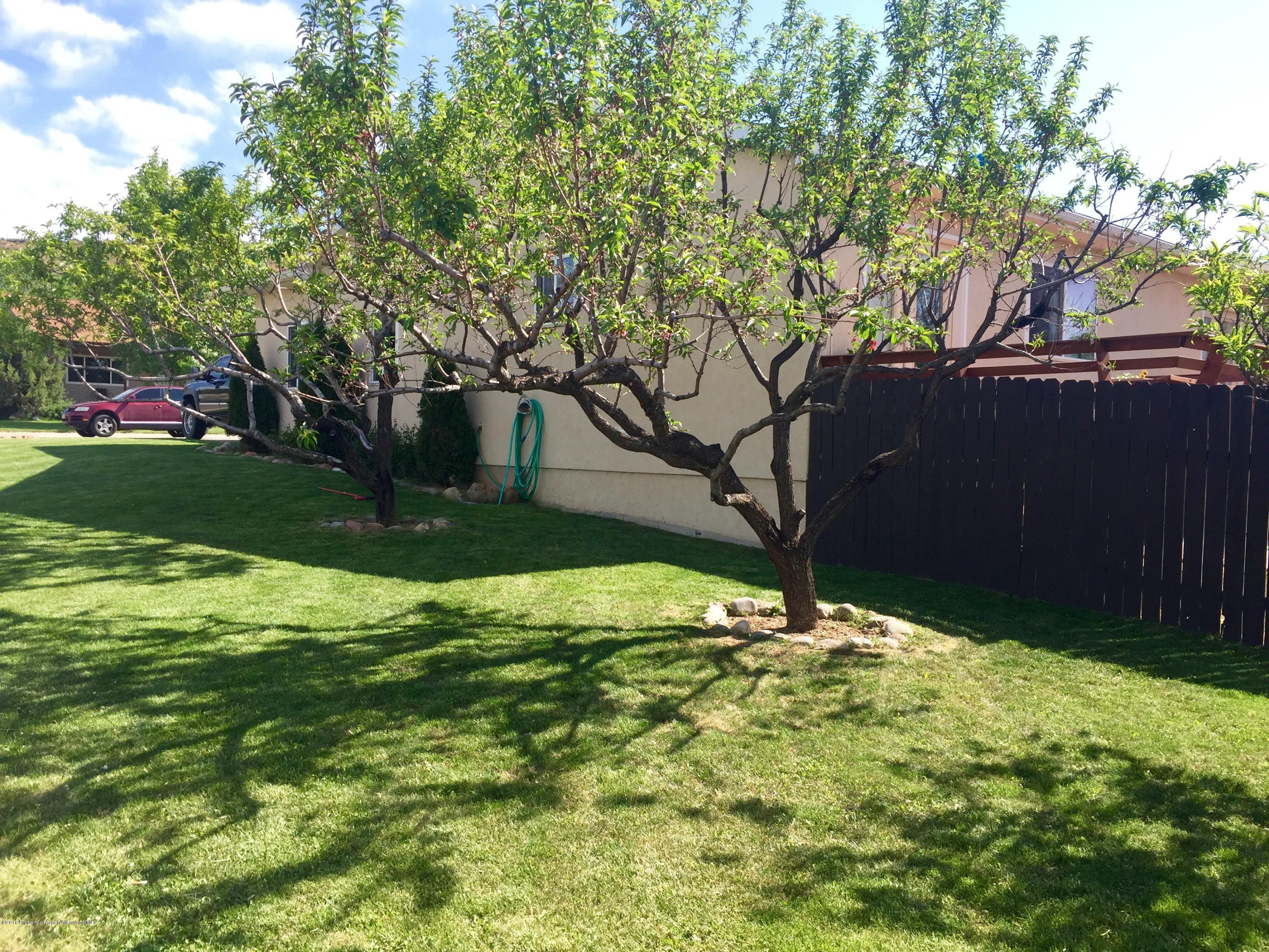 1601 Orchard Avenue Silt CO 81652