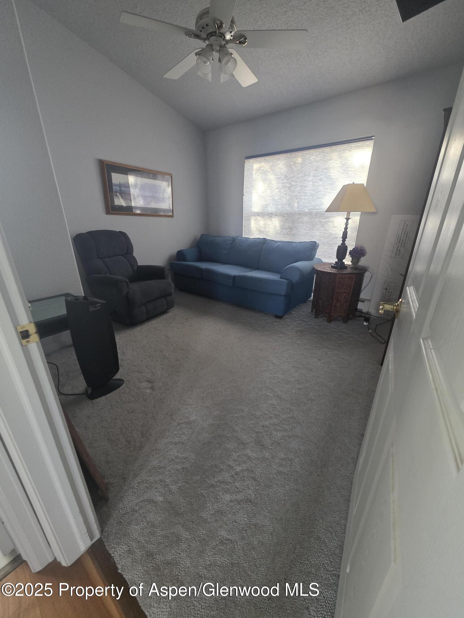 41 Cottonwood Court Parachute CO 81635