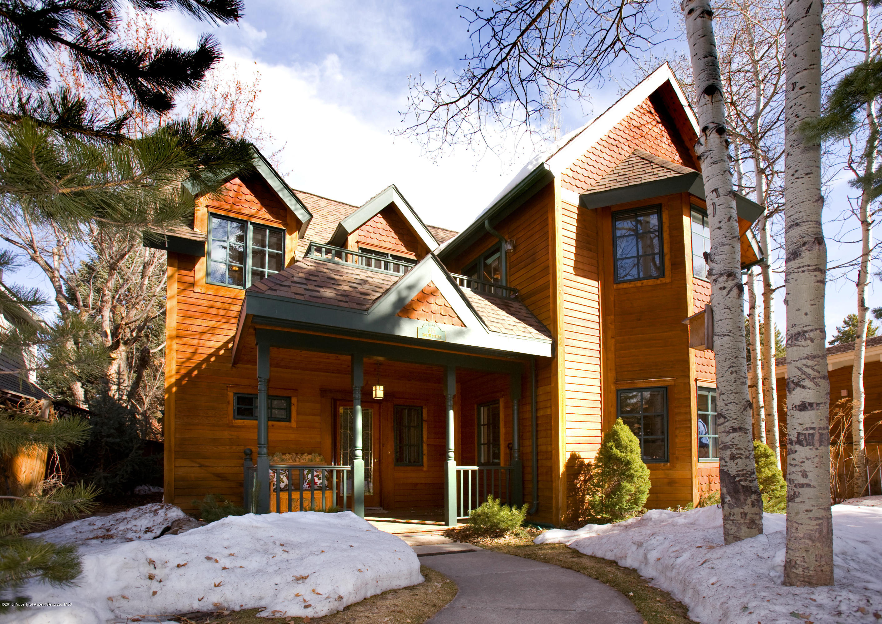 614 W North Street Aspen CO 81611