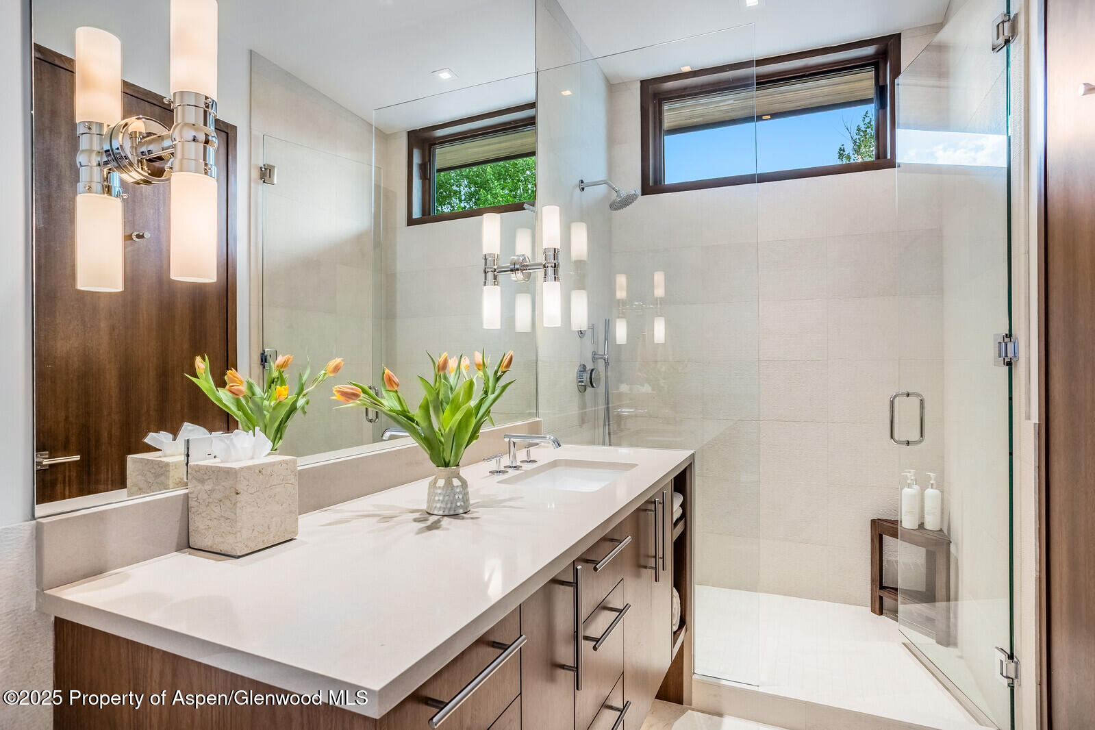 130 Primrose Path Aspen CO 81611