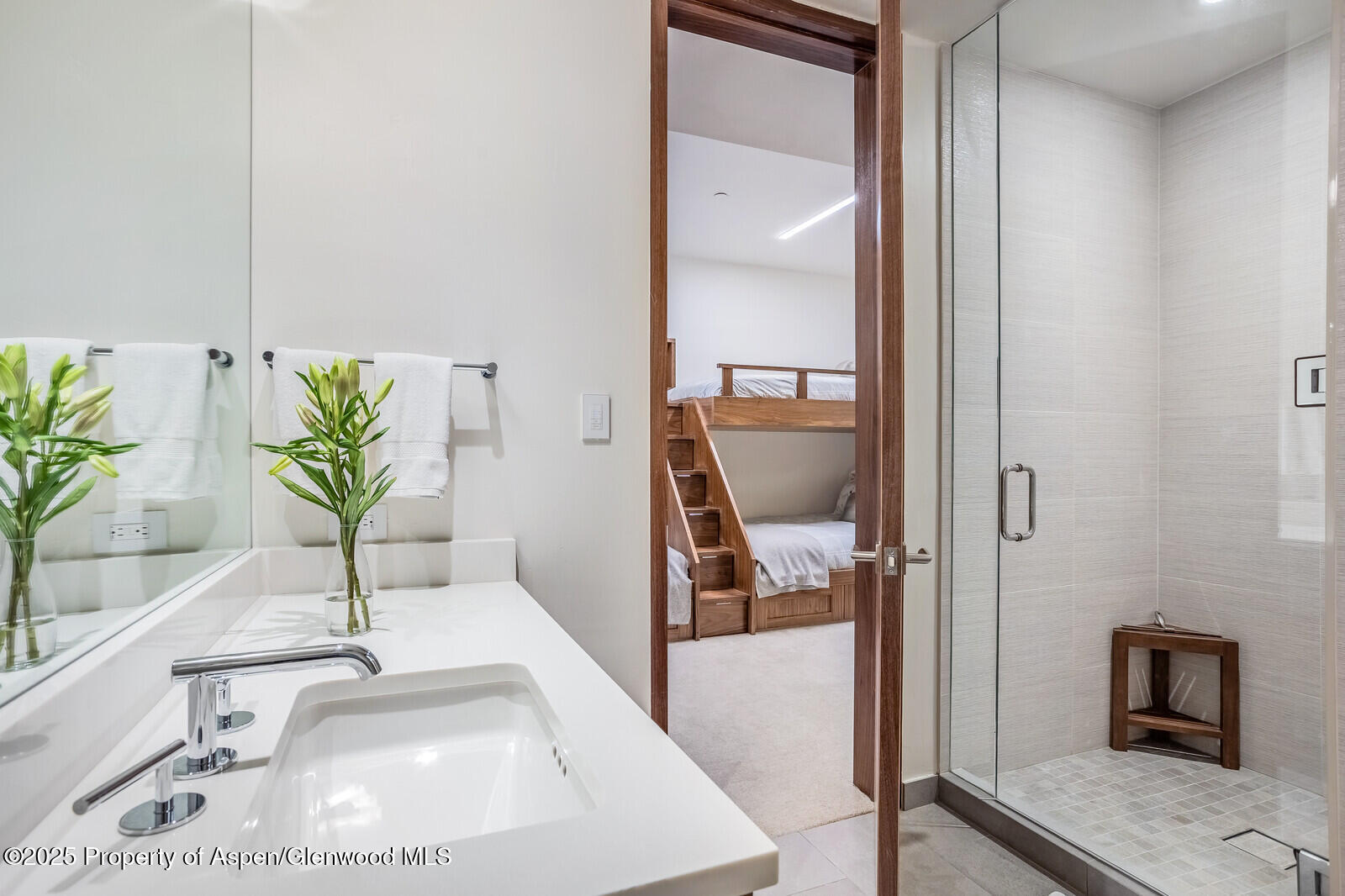 130 Primrose Path Aspen CO 81611