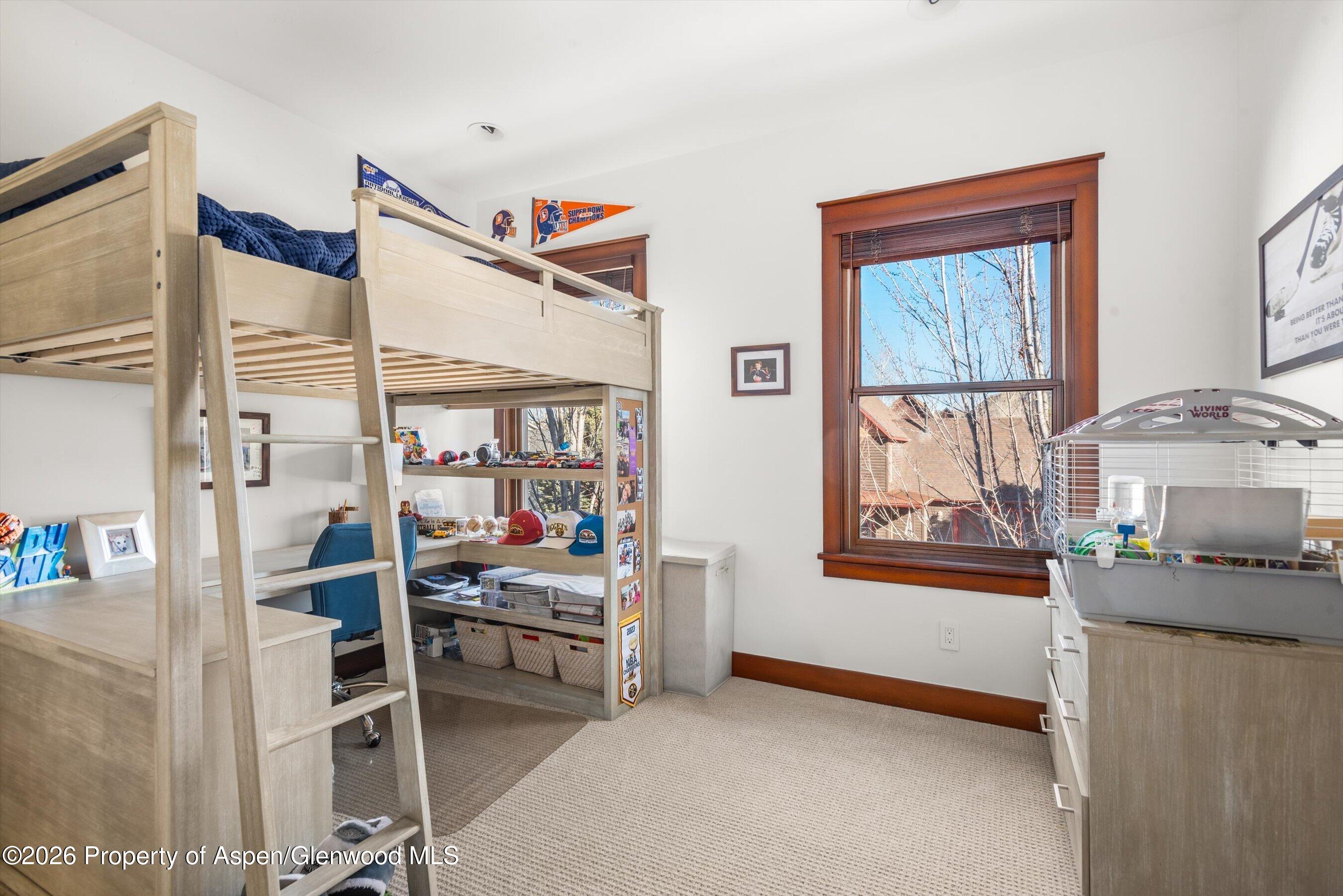 410 Meadow Court Basalt CO 81621