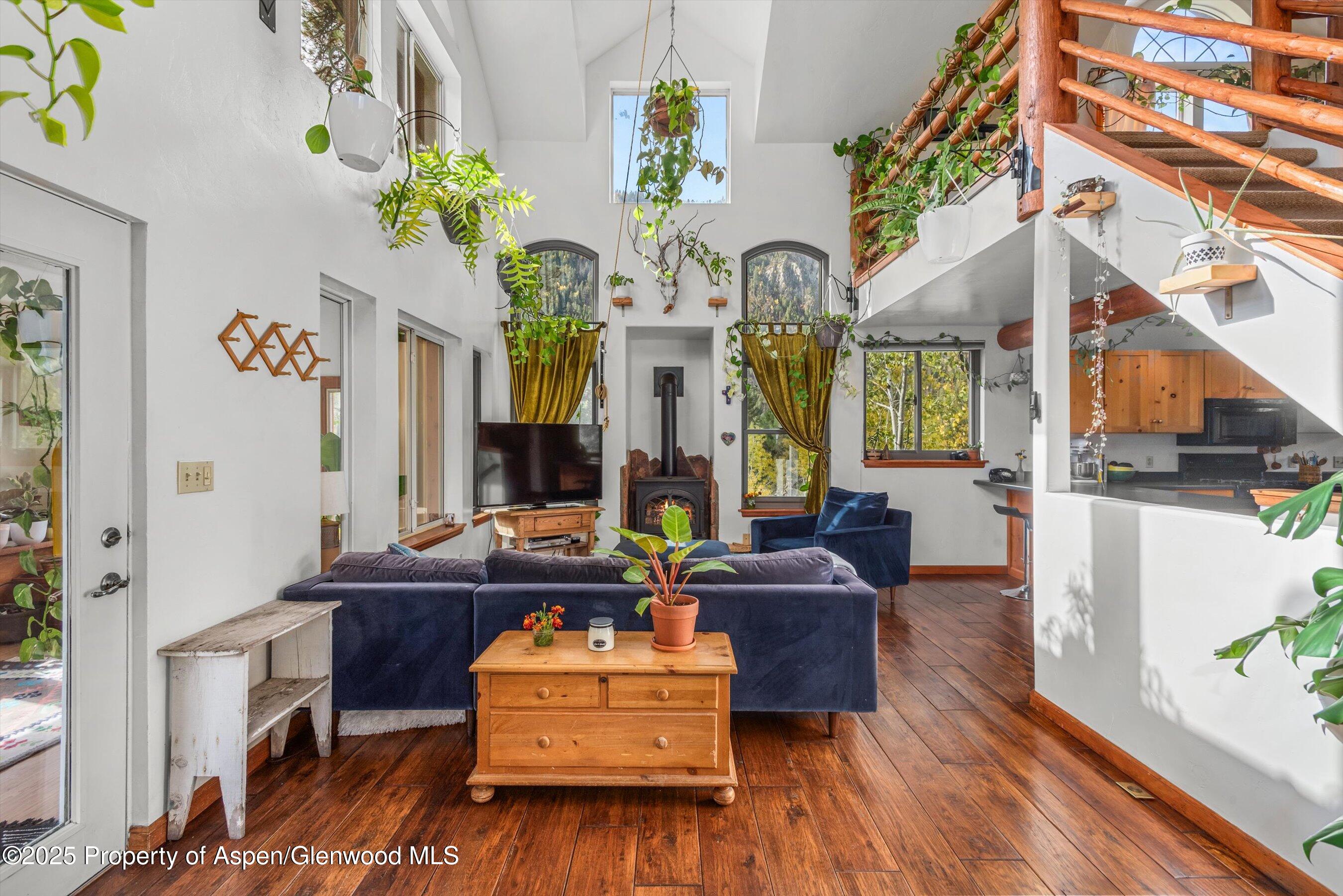 235 Gallo Hill Drive Marble CO 81623