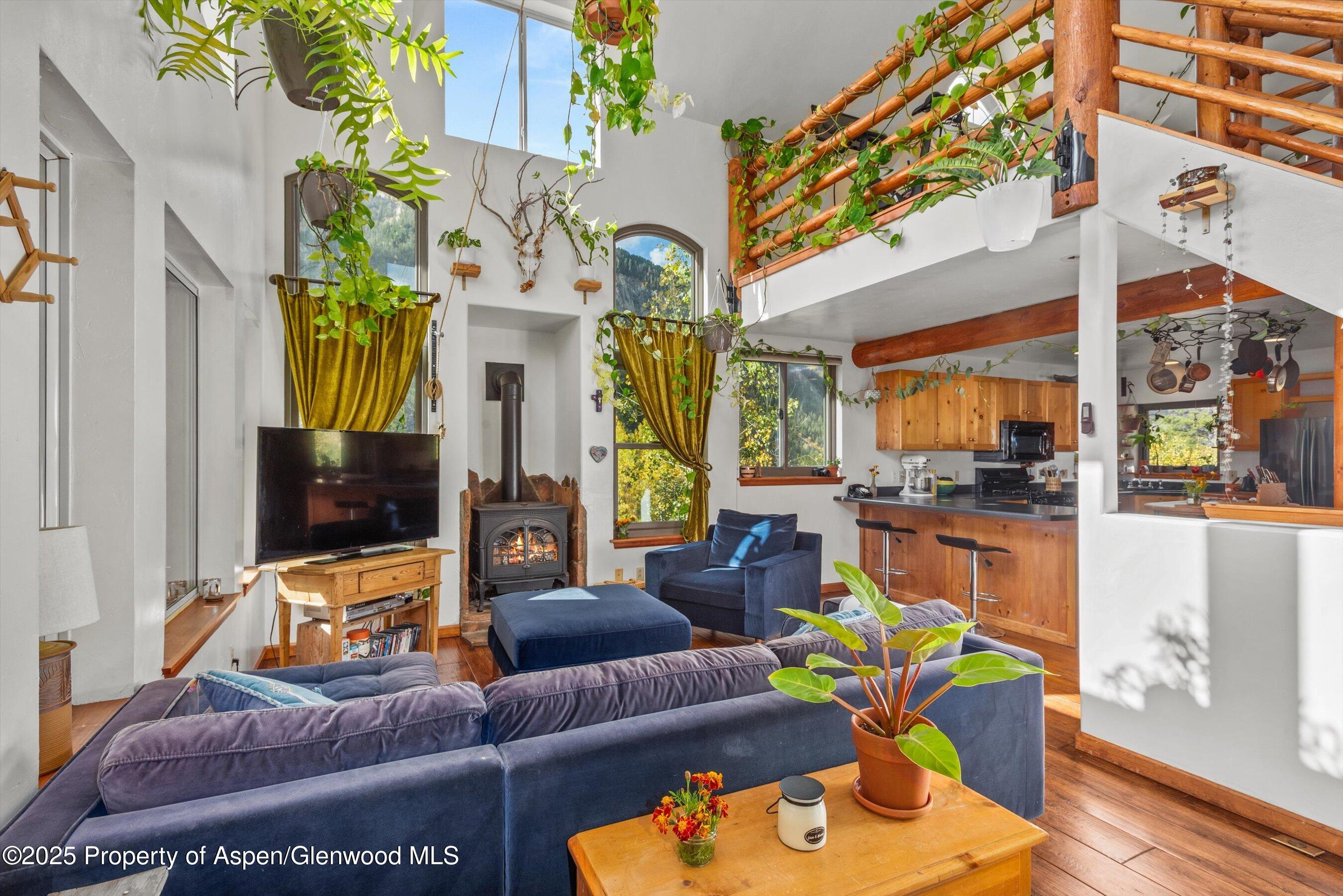 235 Gallo Hill Drive Marble CO 81623