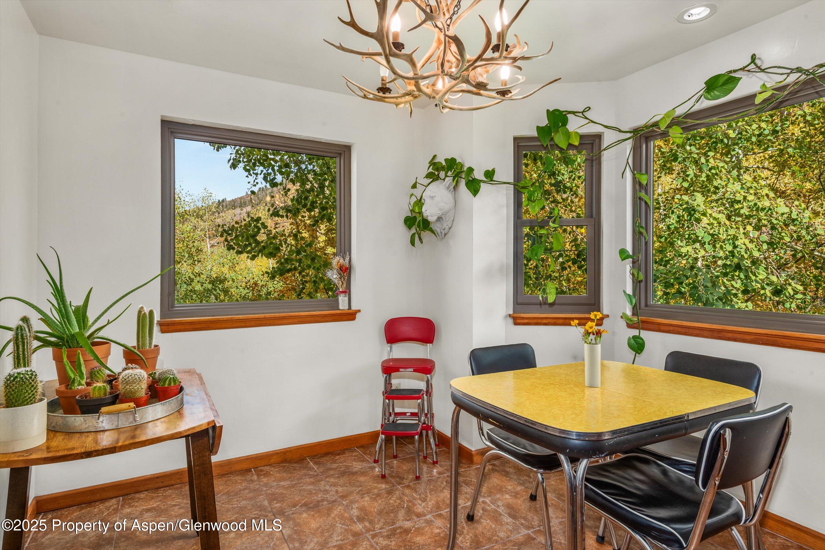 235 Gallo Hill Drive Marble CO 81623