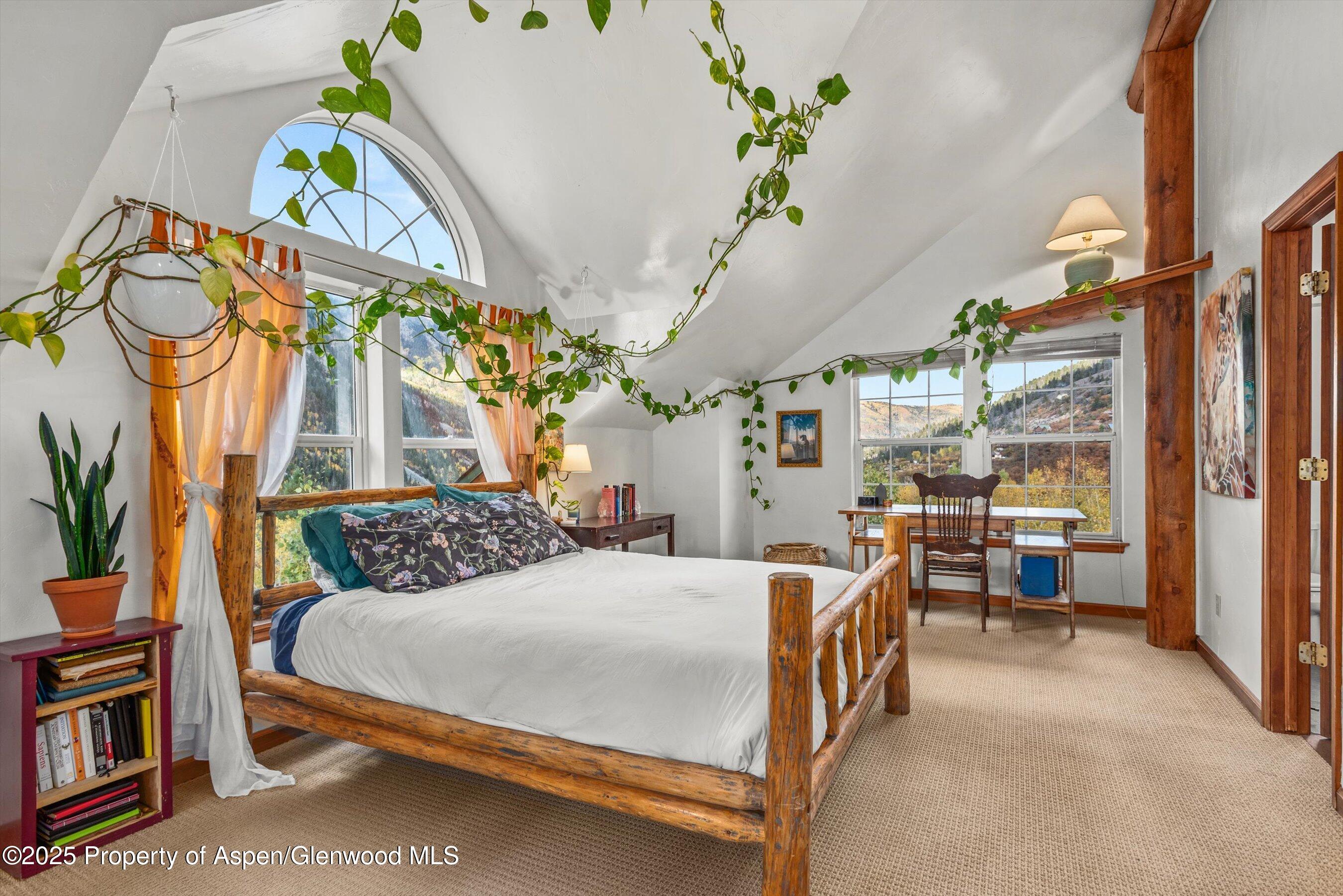 235 Gallo Hill Drive Marble CO 81623