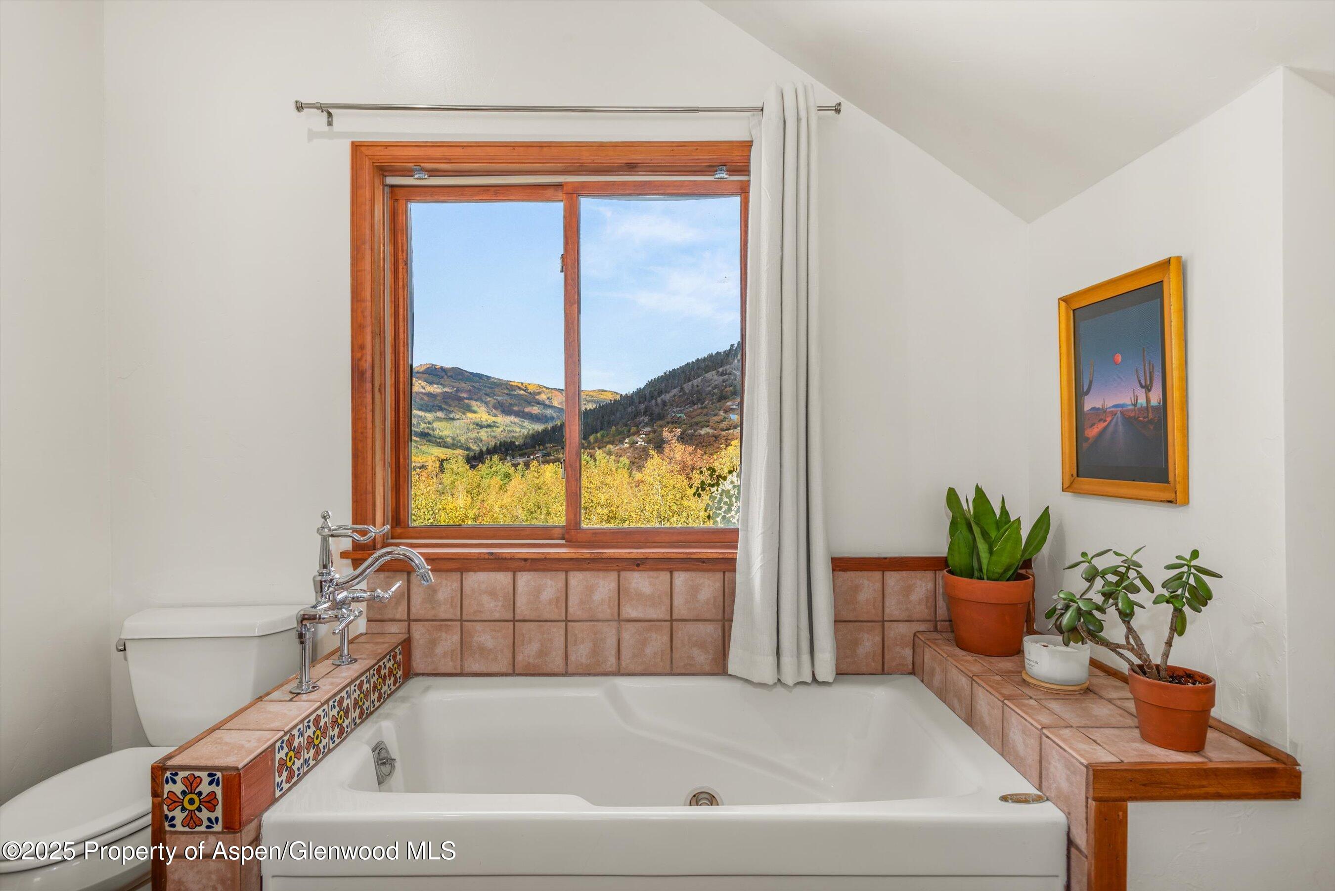 235 Gallo Hill Drive Marble CO 81623