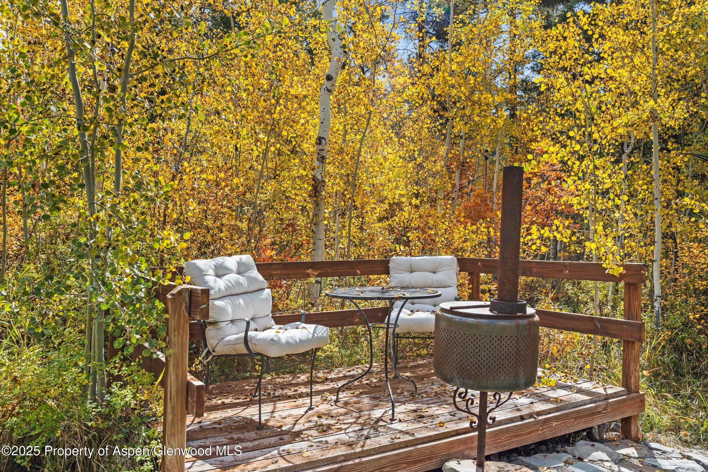 235 Gallo Hill Drive Marble CO 81623