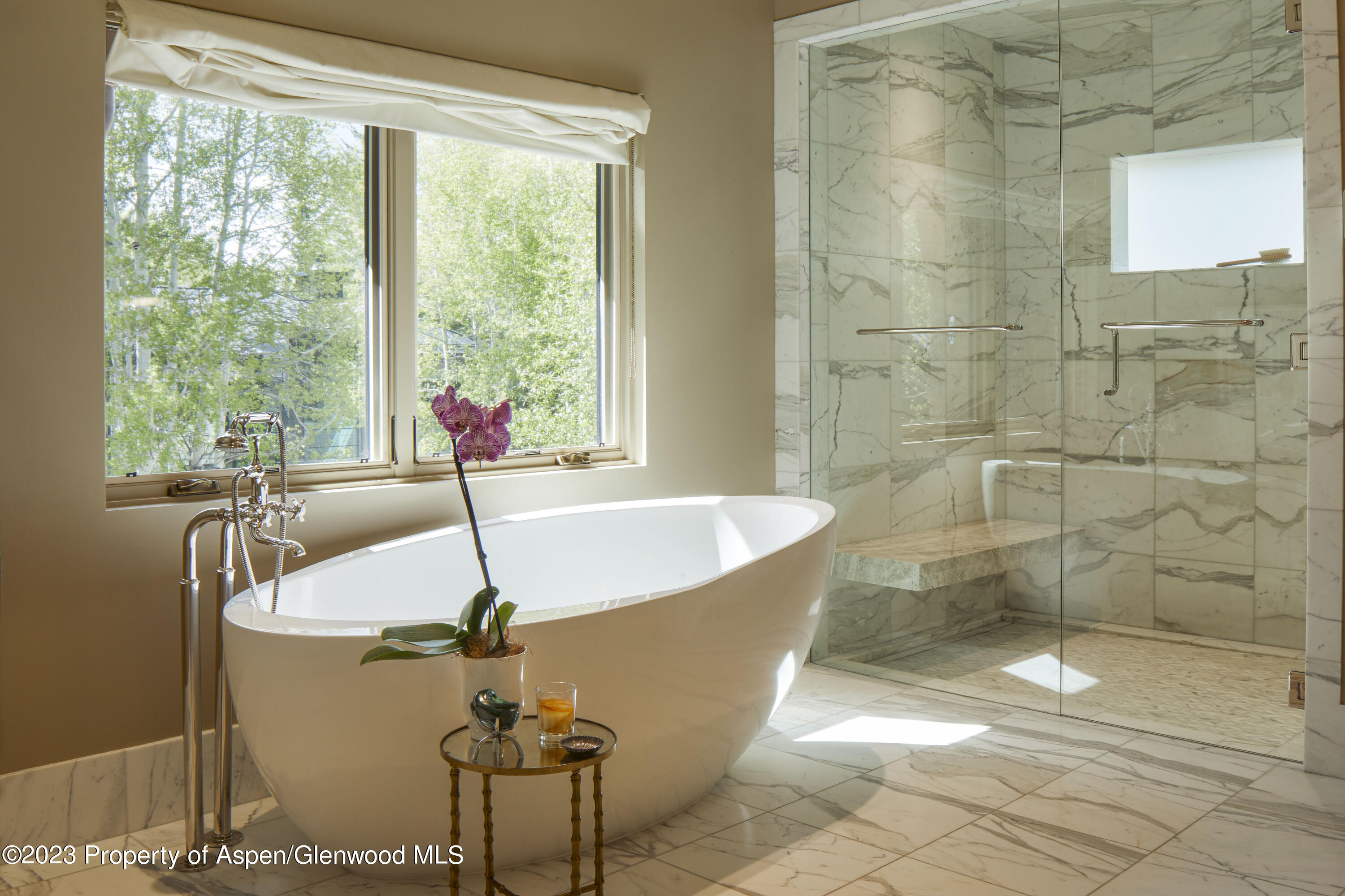 302 Park Avenue Aspen CO 81611