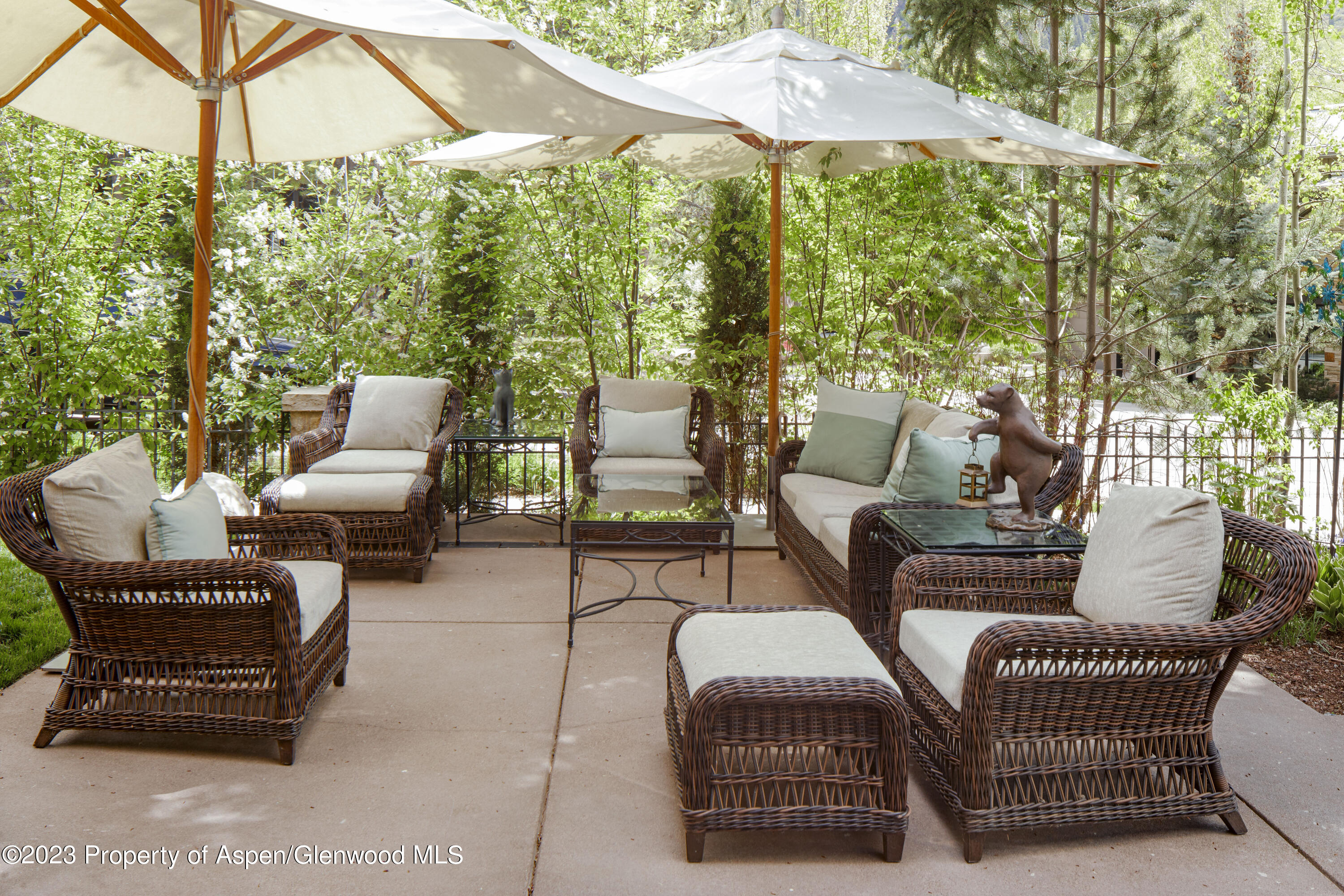302 Park Avenue Aspen CO 81611
