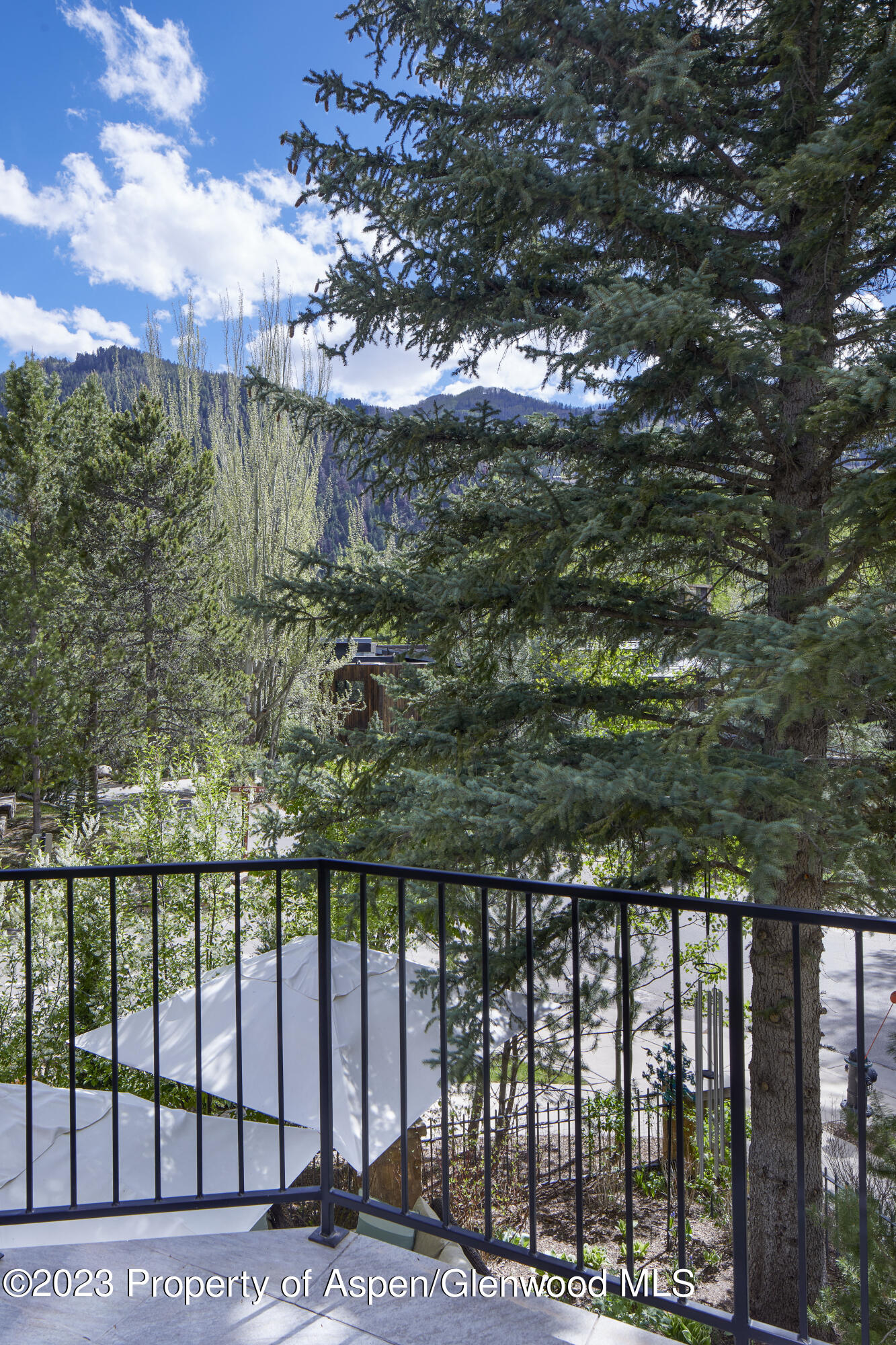 302 Park Avenue Aspen CO 81611