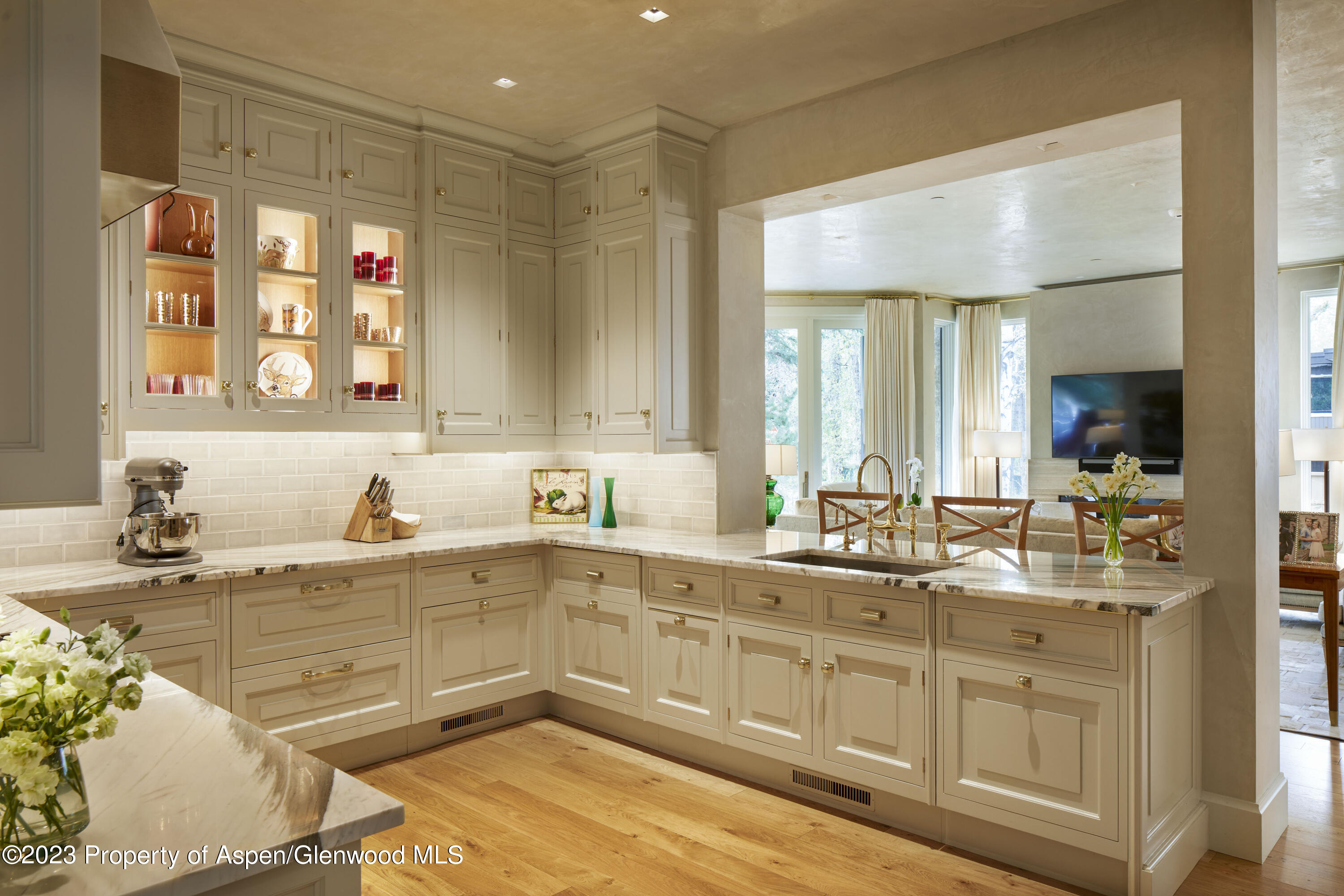 302 Park Avenue Aspen CO 81611