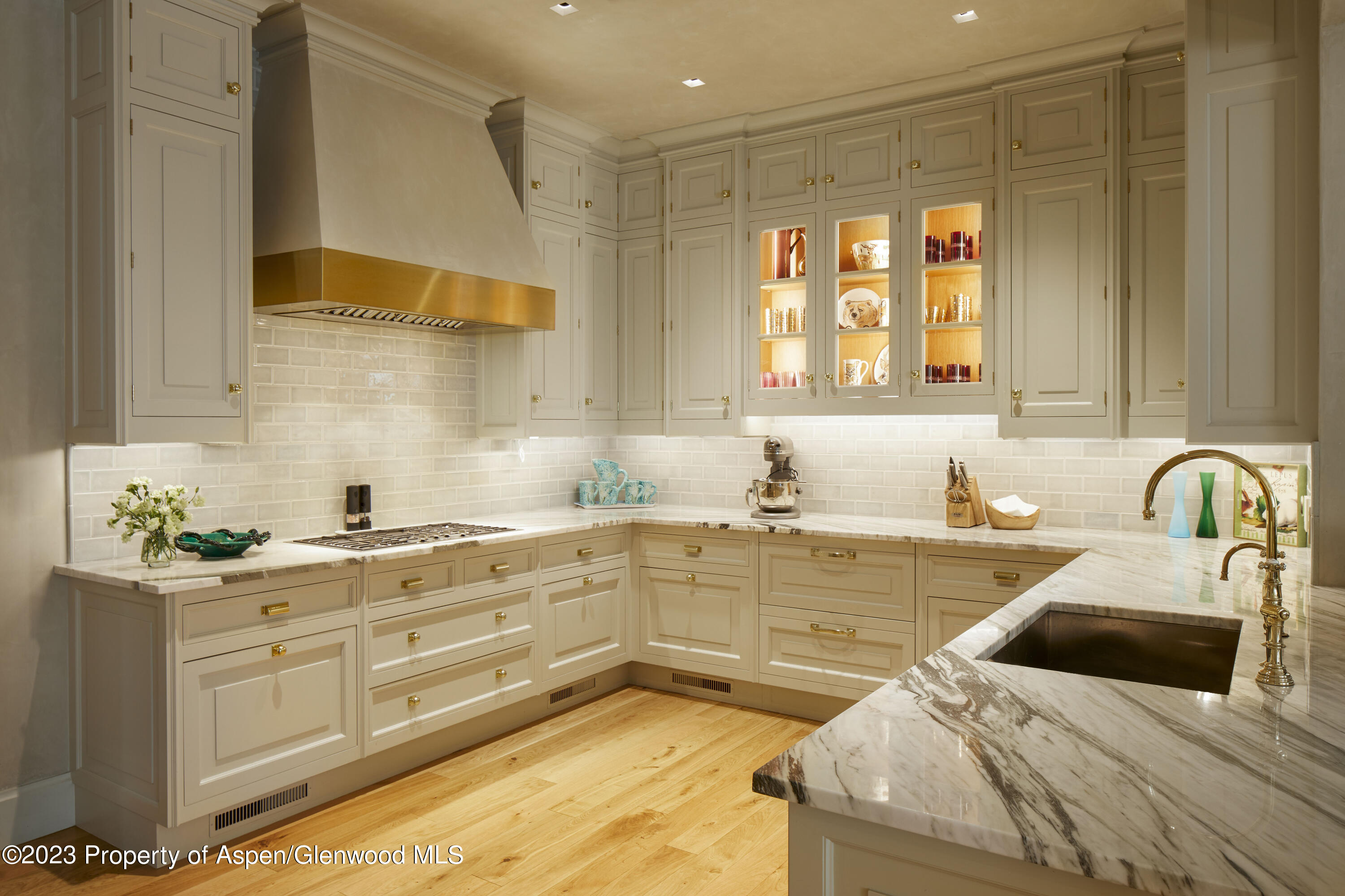 302 Park Avenue Aspen CO 81611