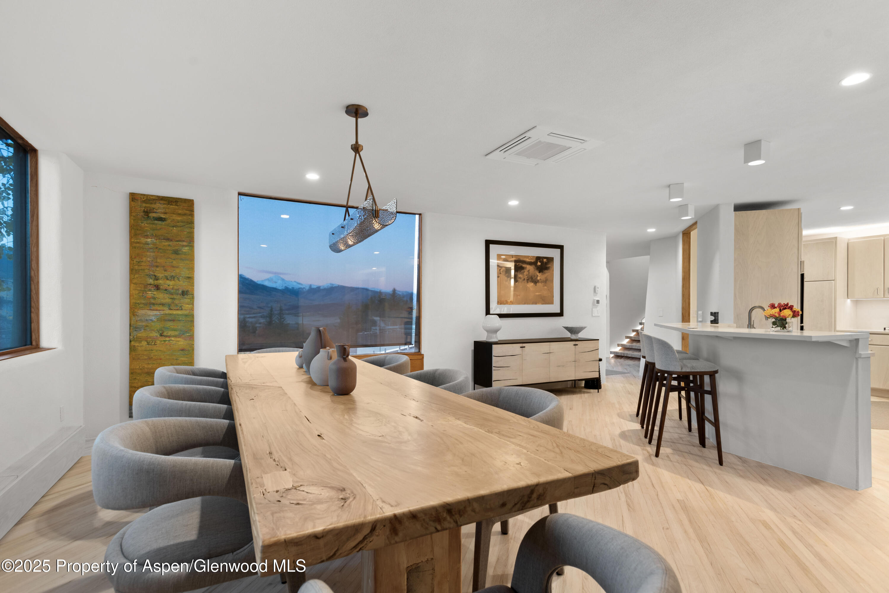 699 Eppley Drive Aspen CO 81611