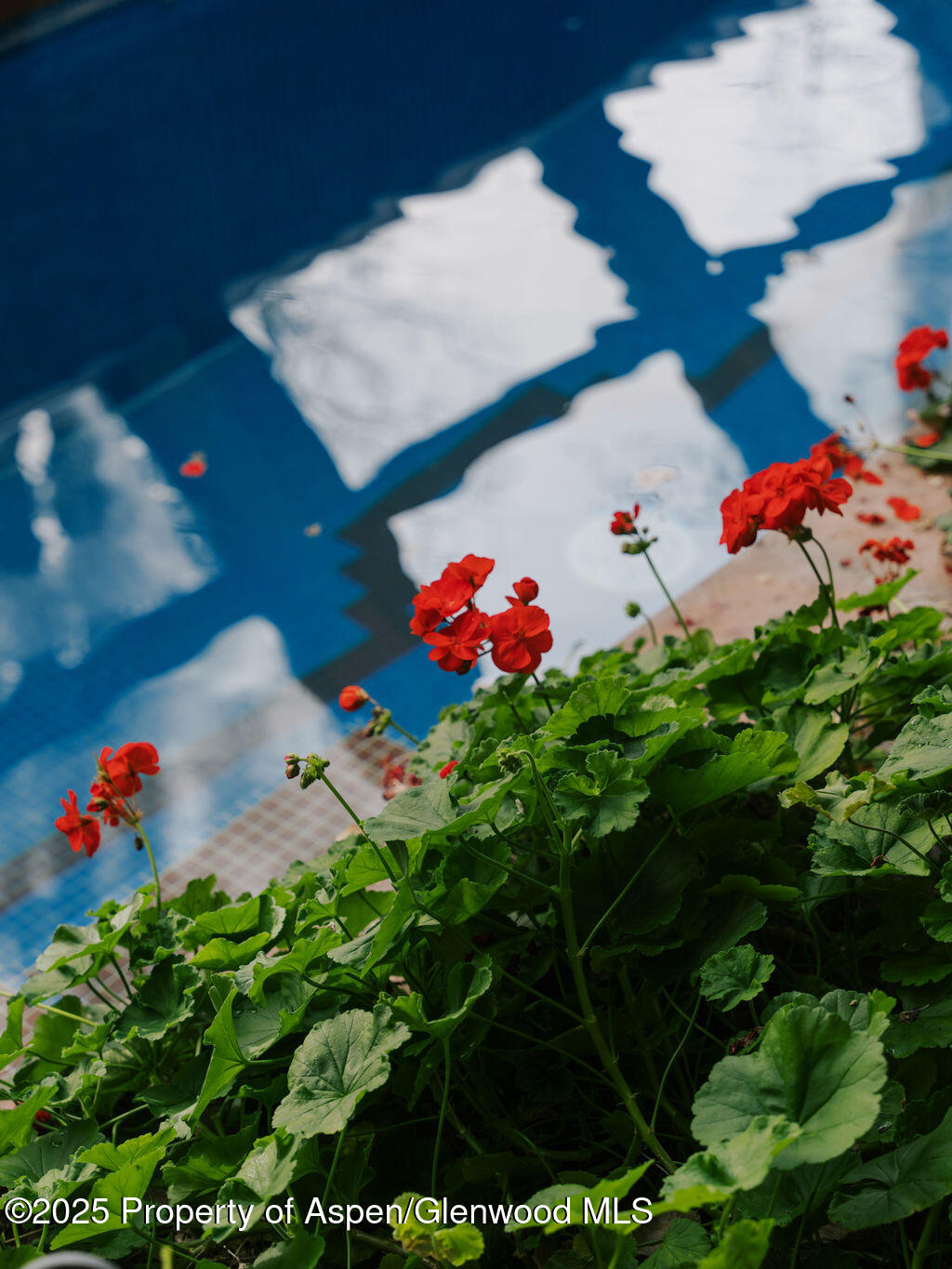 925 W North Street Aspen CO 81611