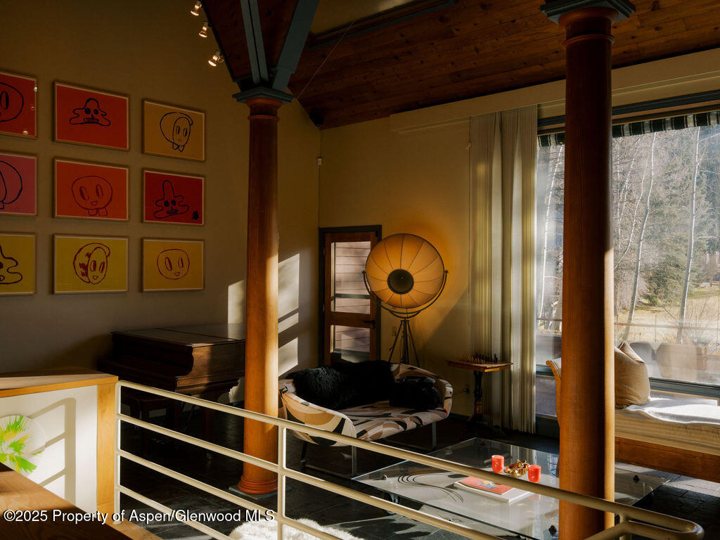 925 W North Street Aspen CO 81611