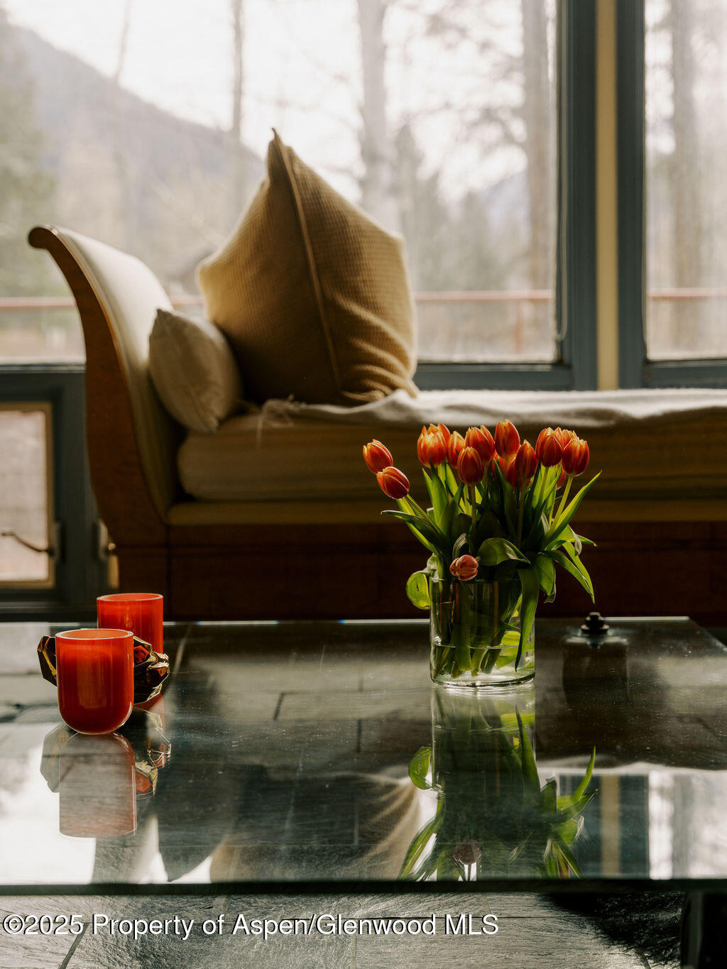 925 W North Street Aspen CO 81611