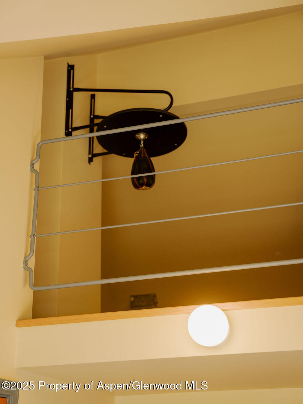 925 W North Street Aspen CO 81611