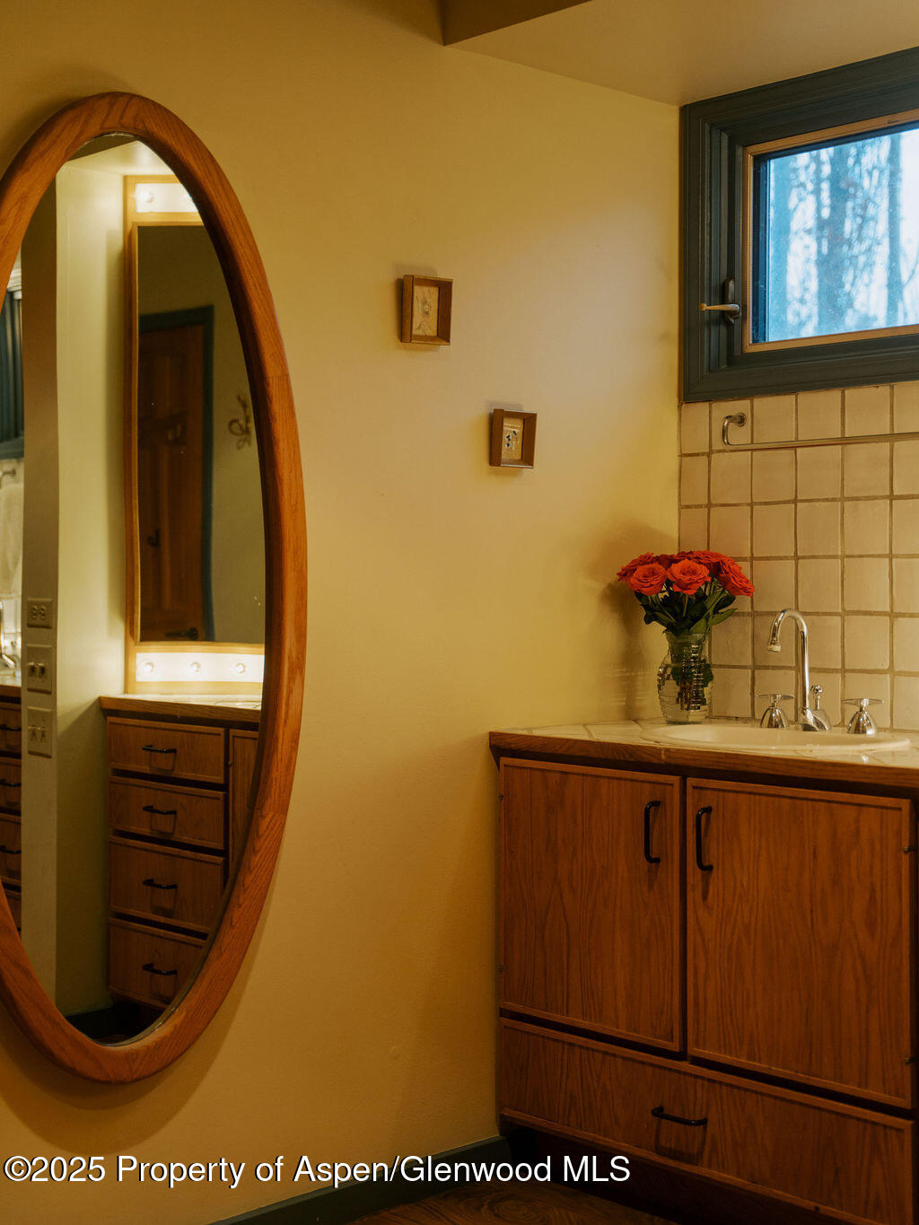 925 W North Street Aspen CO 81611