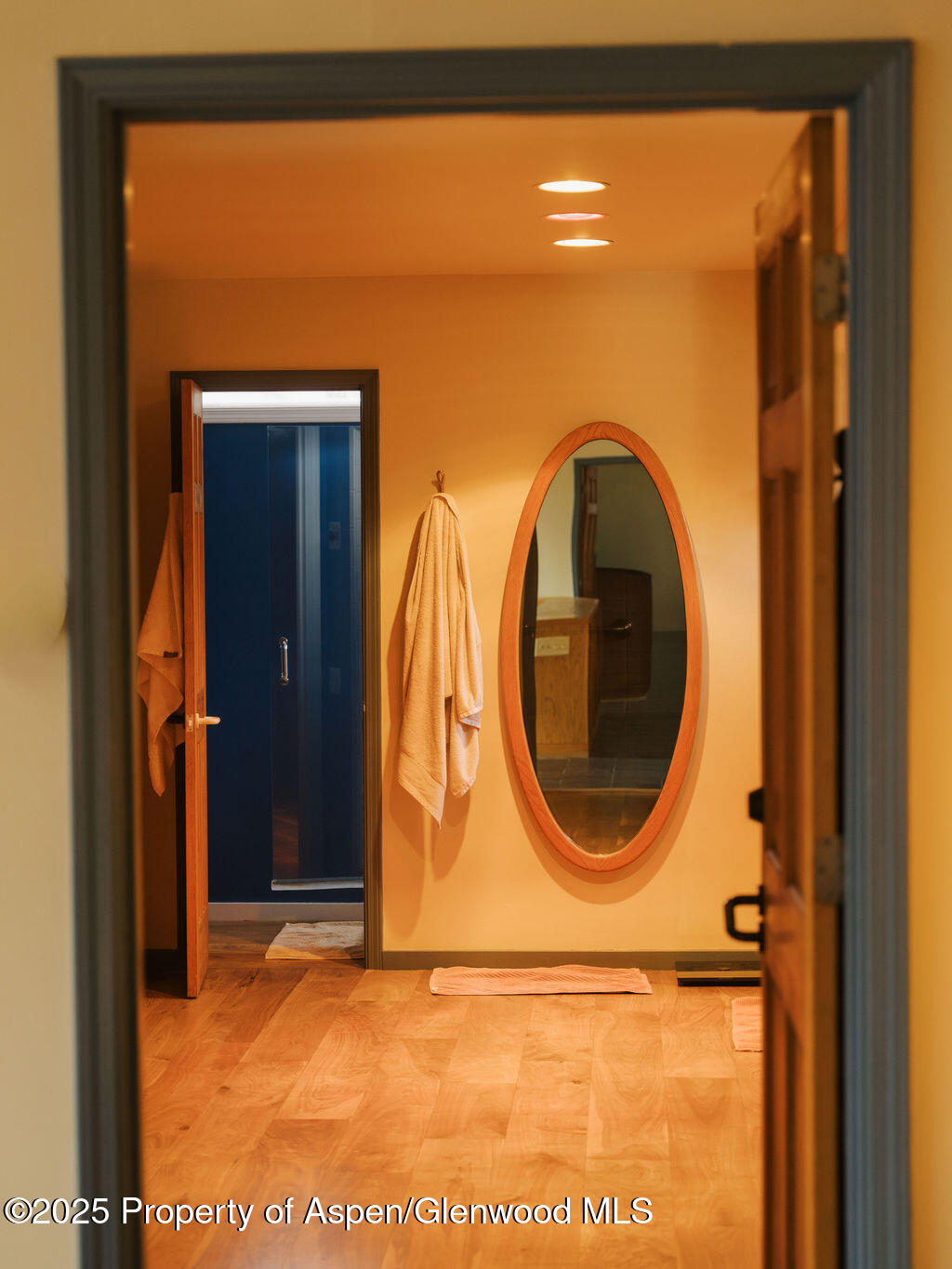 925 W North Street Aspen CO 81611