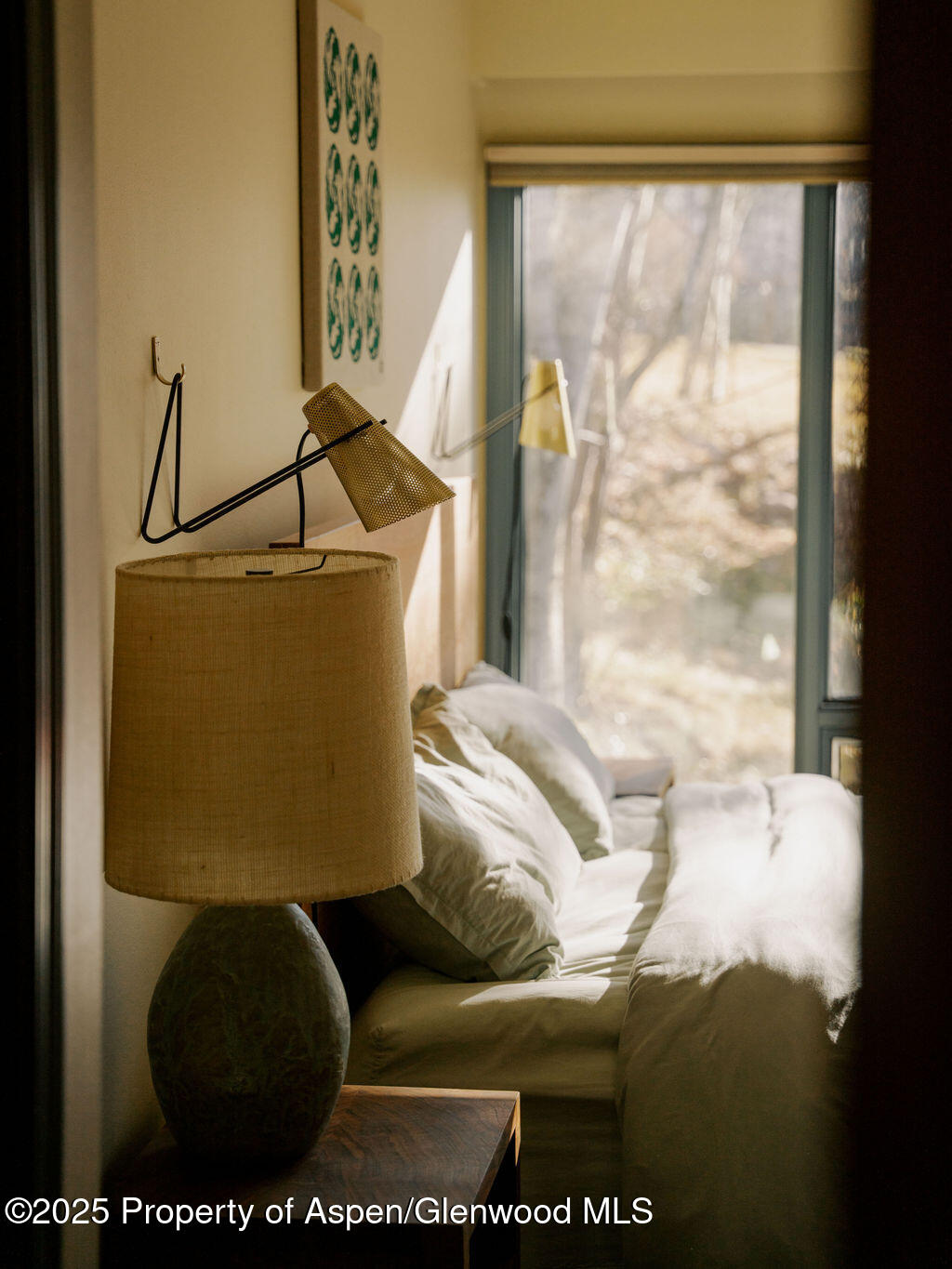 925 W North Street Aspen CO 81611